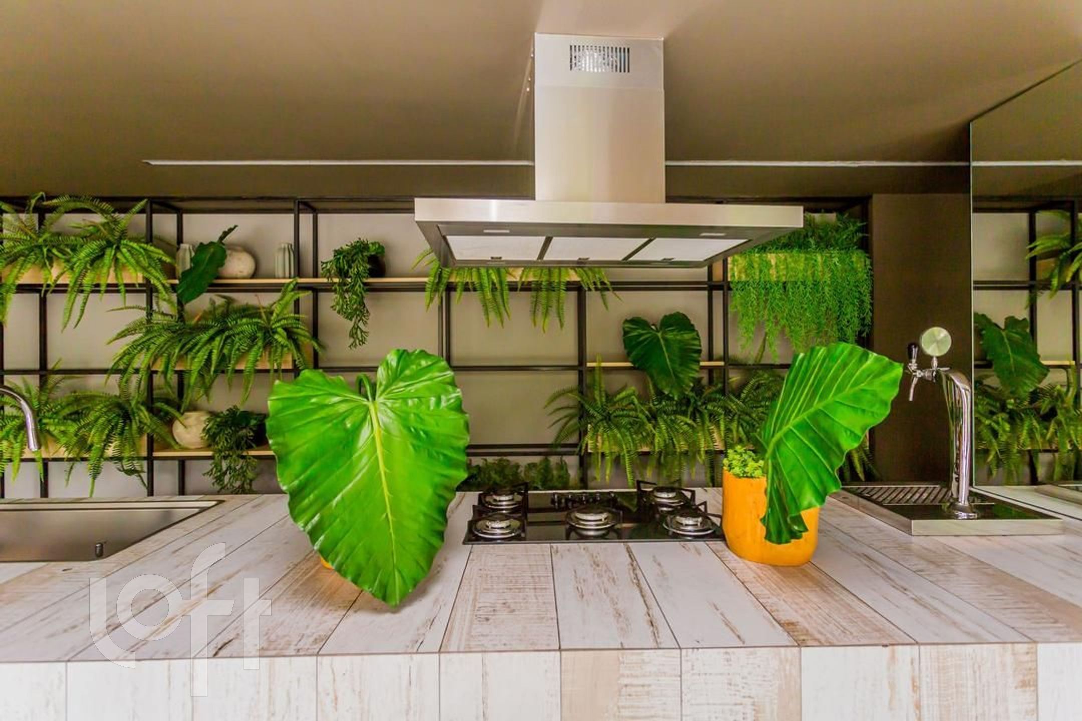 Imagem da propriedade 48