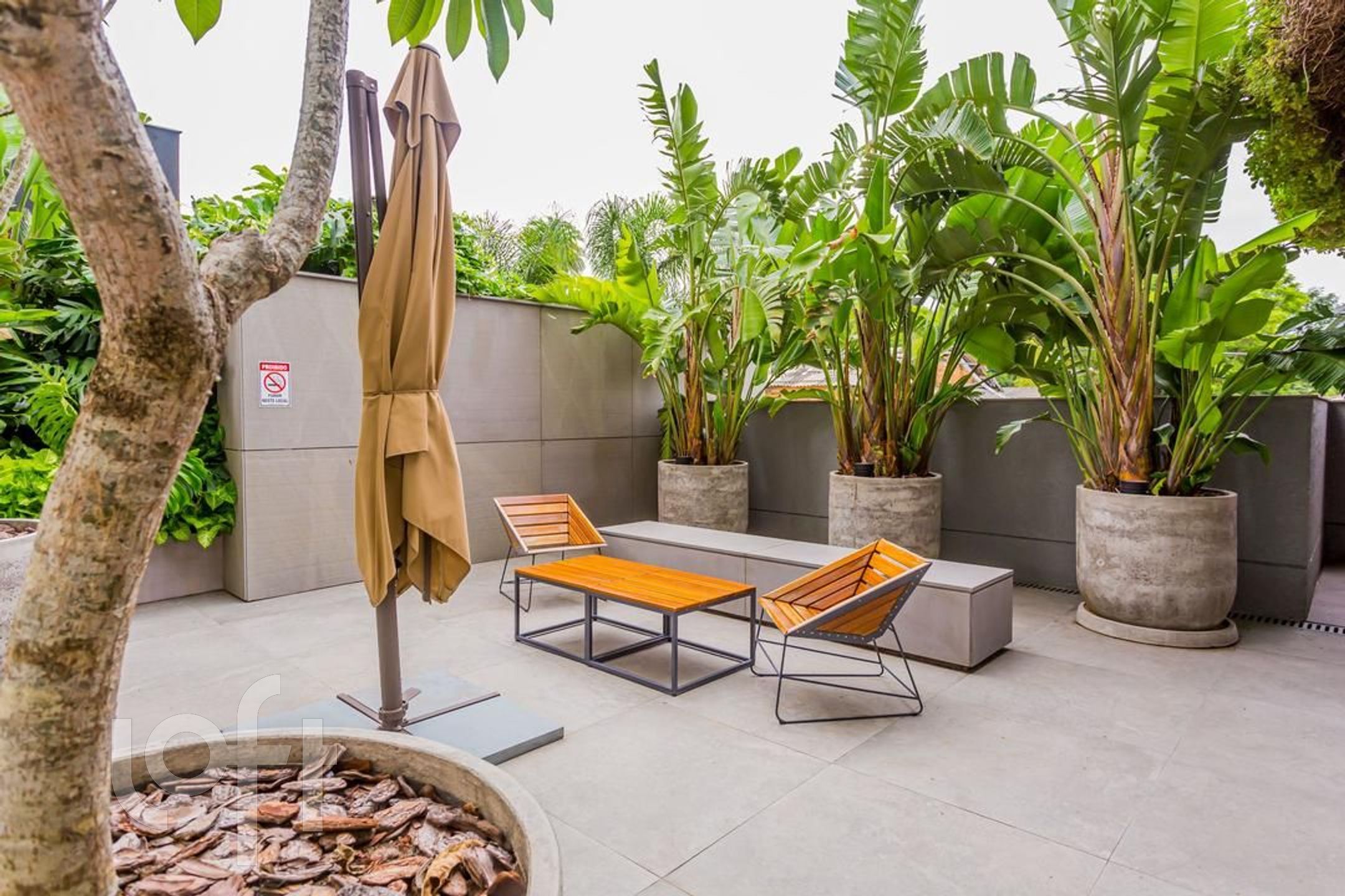 Imagem da propriedade 60