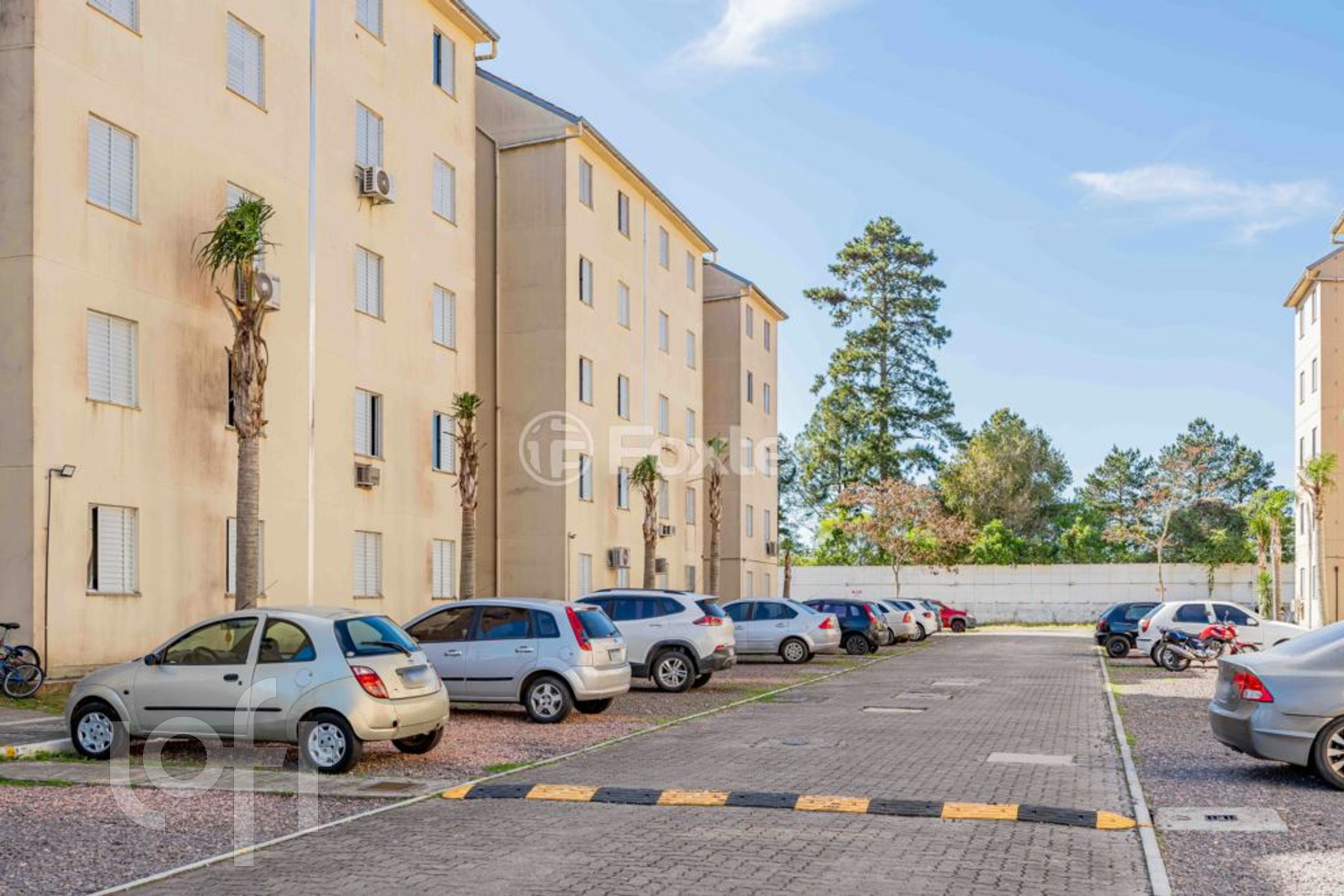 Imagem da propriedade 4