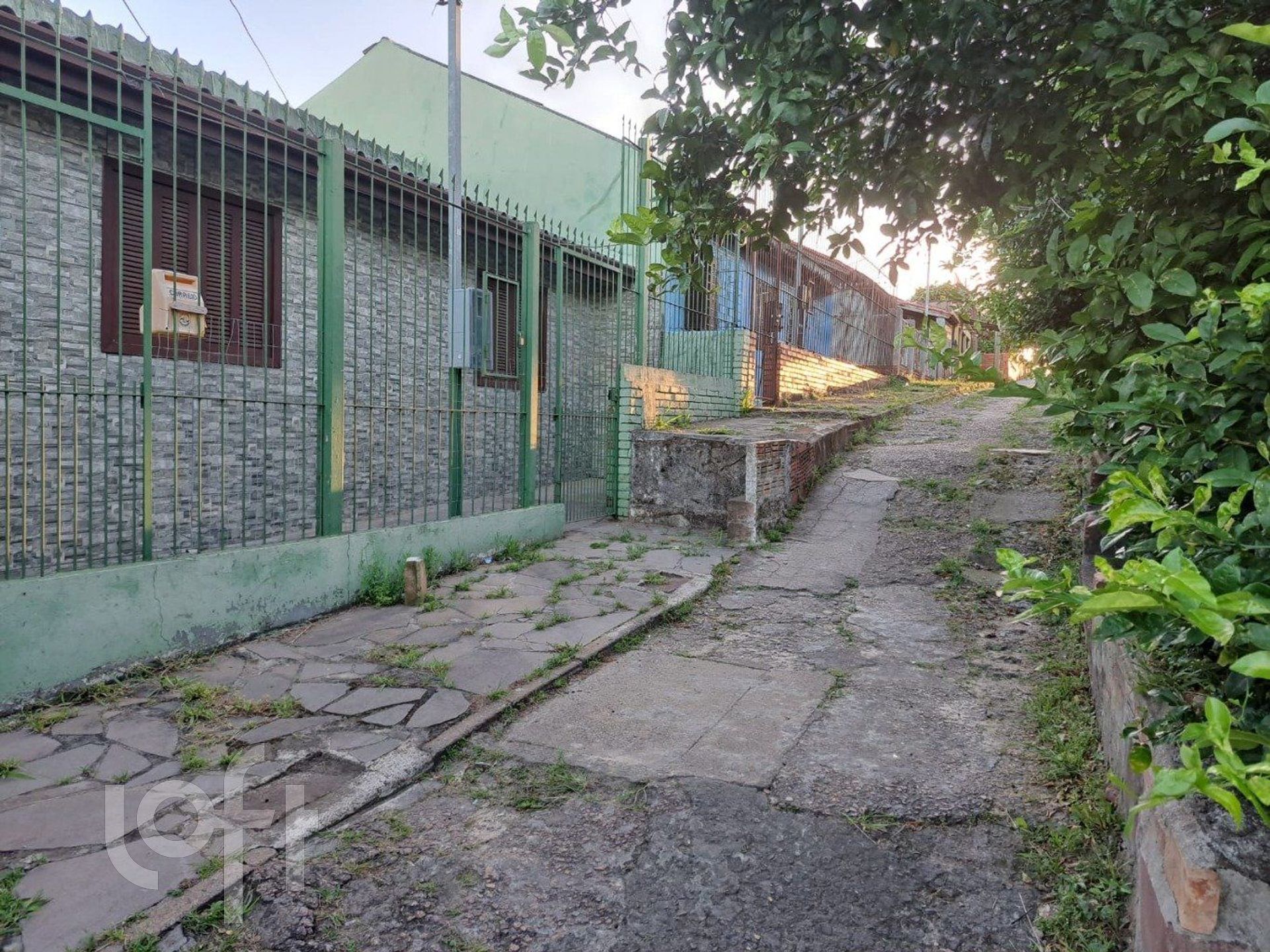 Imagem da propriedade 28