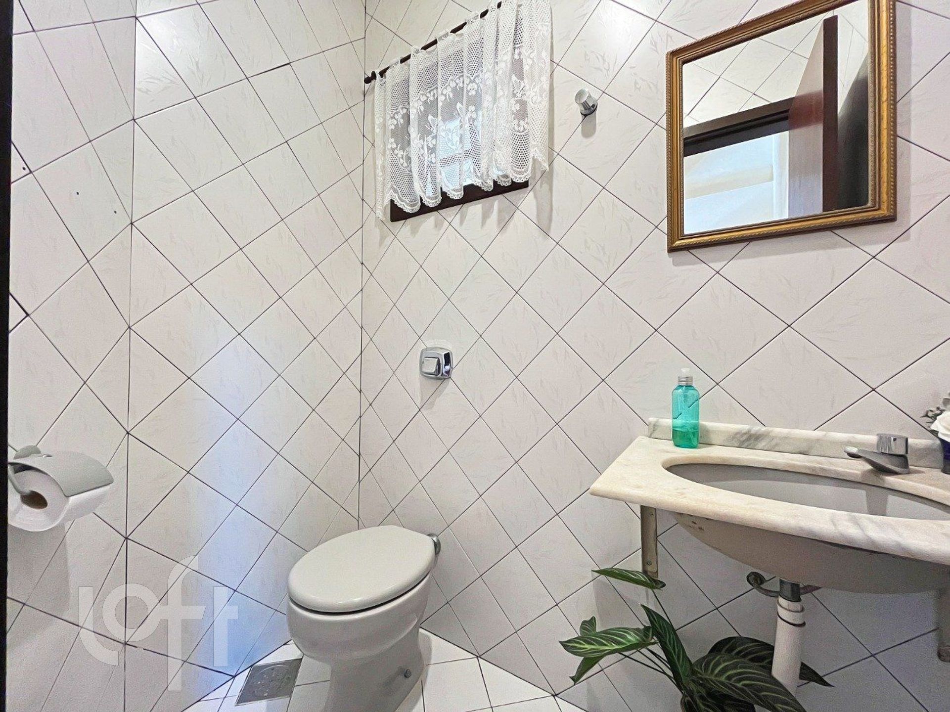 Imagem da propriedade 7