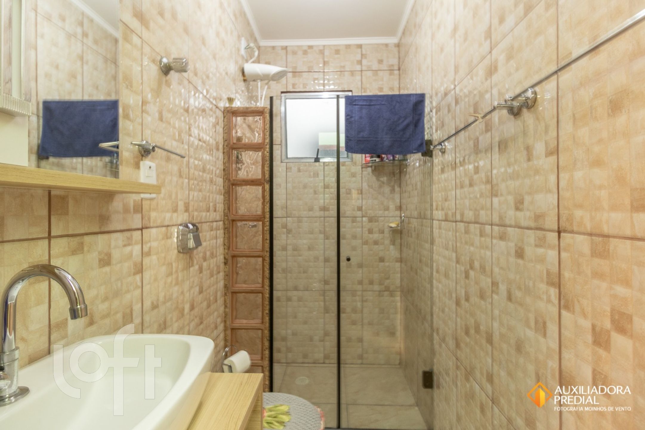 Imagem da propriedade 10