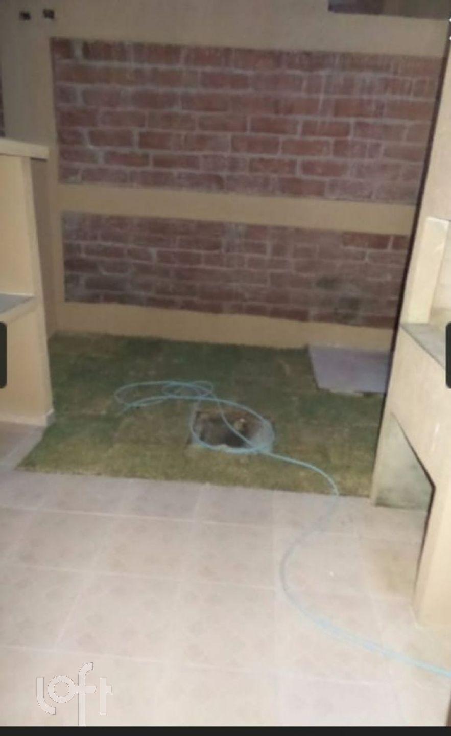 Imagem da propriedade 10