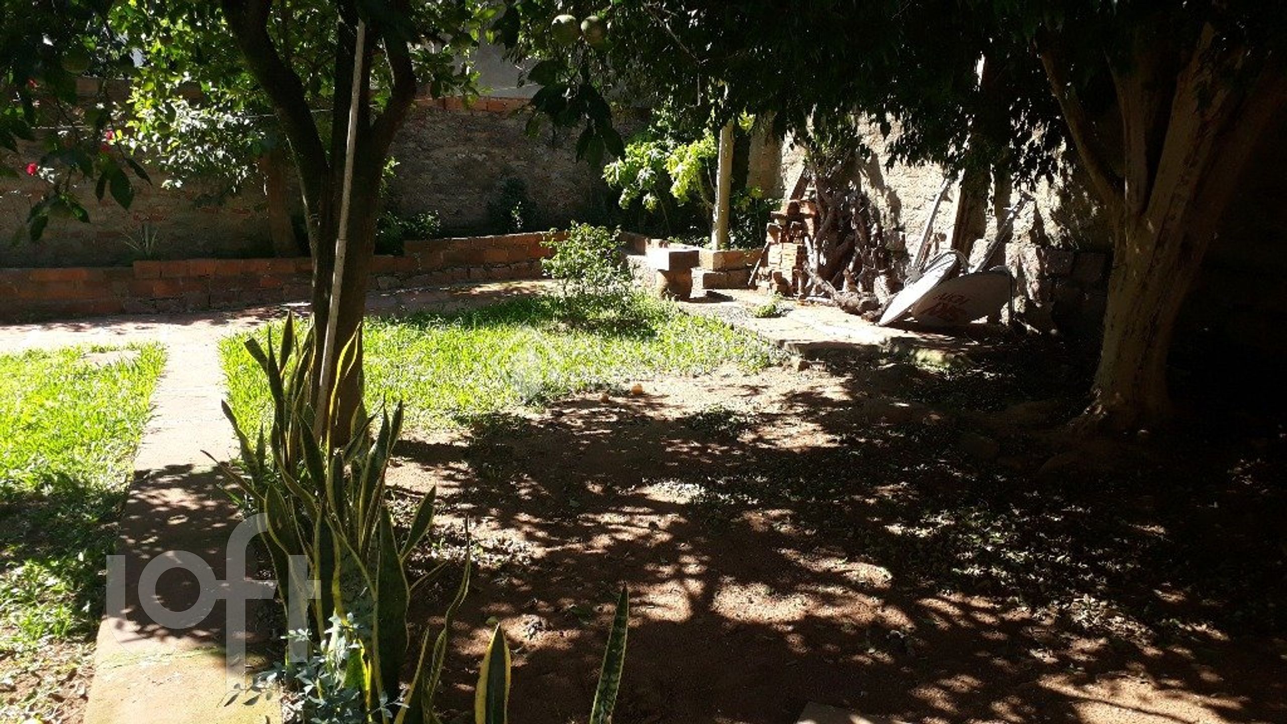 Imagem da propriedade 19