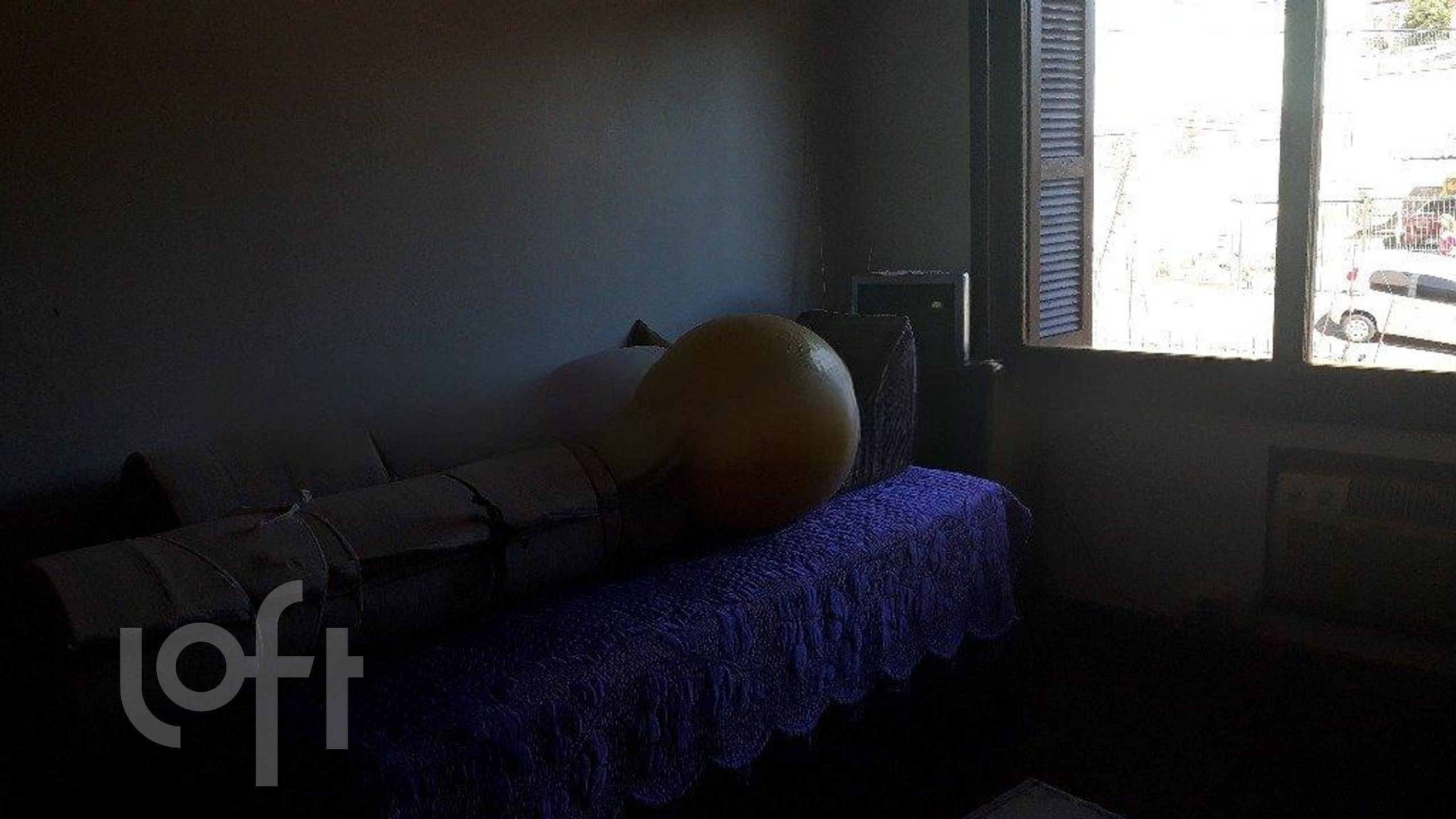 Imagem da propriedade 7