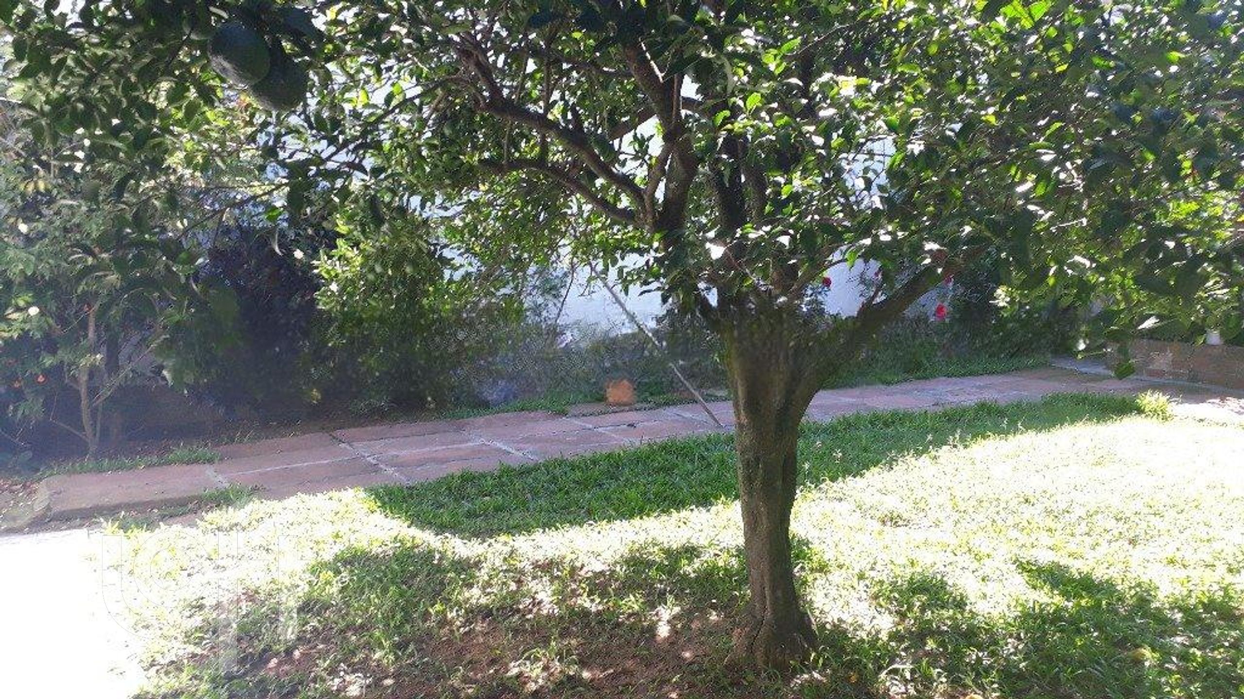 Imagem da propriedade 21