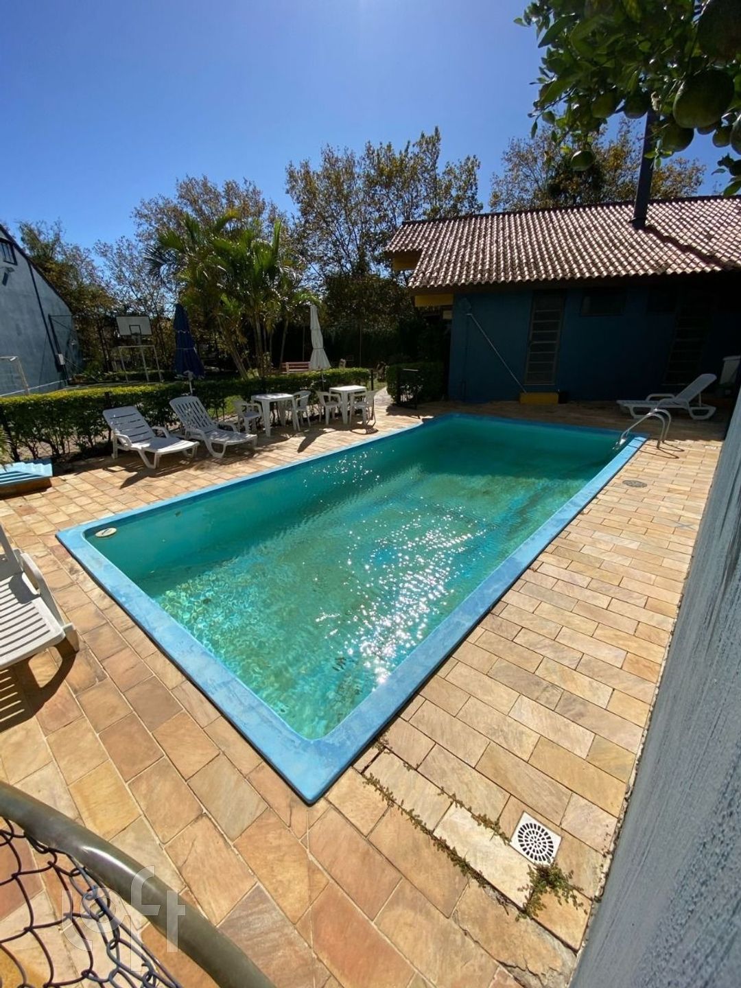 Imagem da propriedade 31