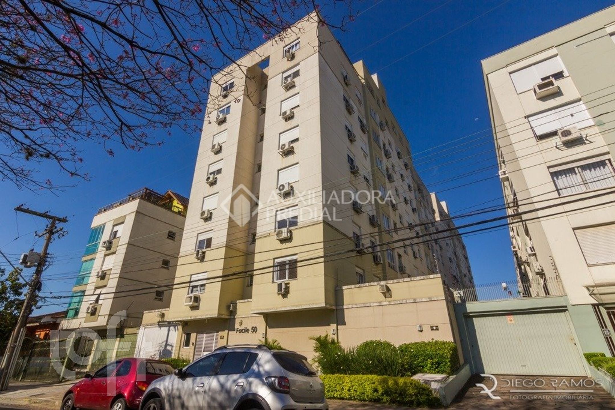 Imagem da propriedade 28