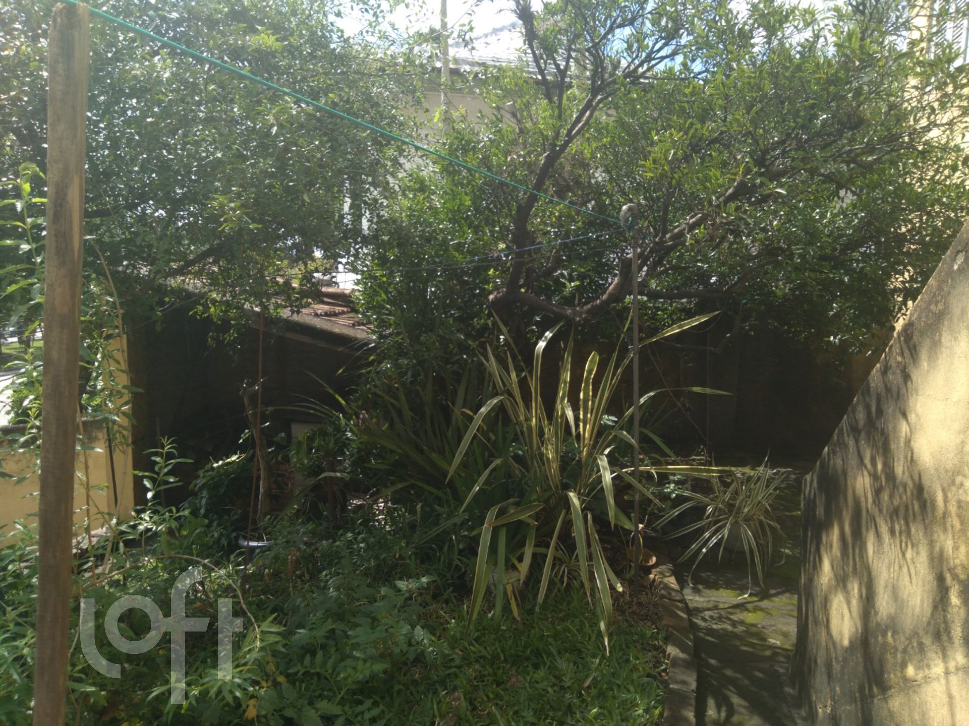 Imagem da propriedade 16