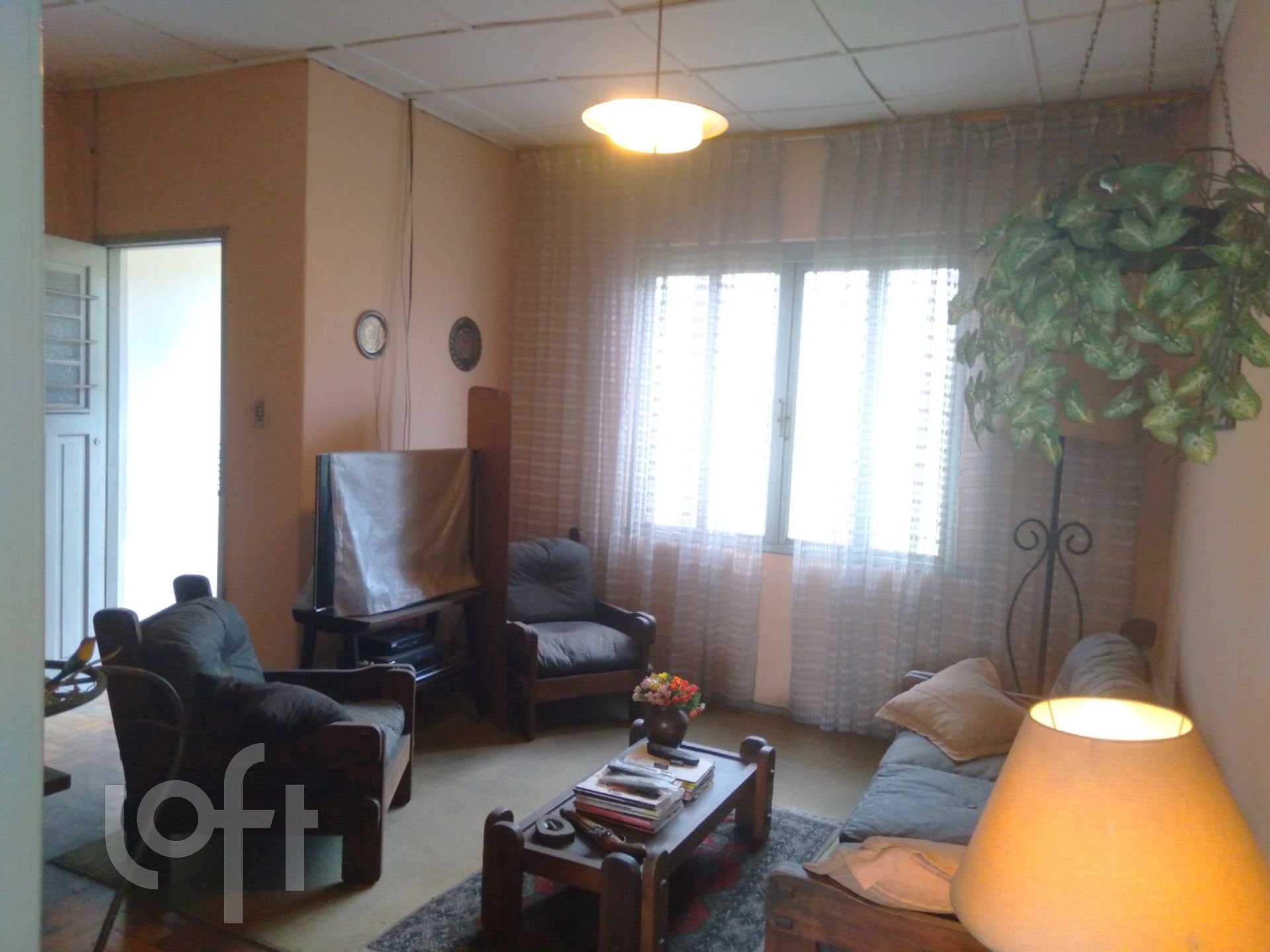 Imagem da propriedade 3