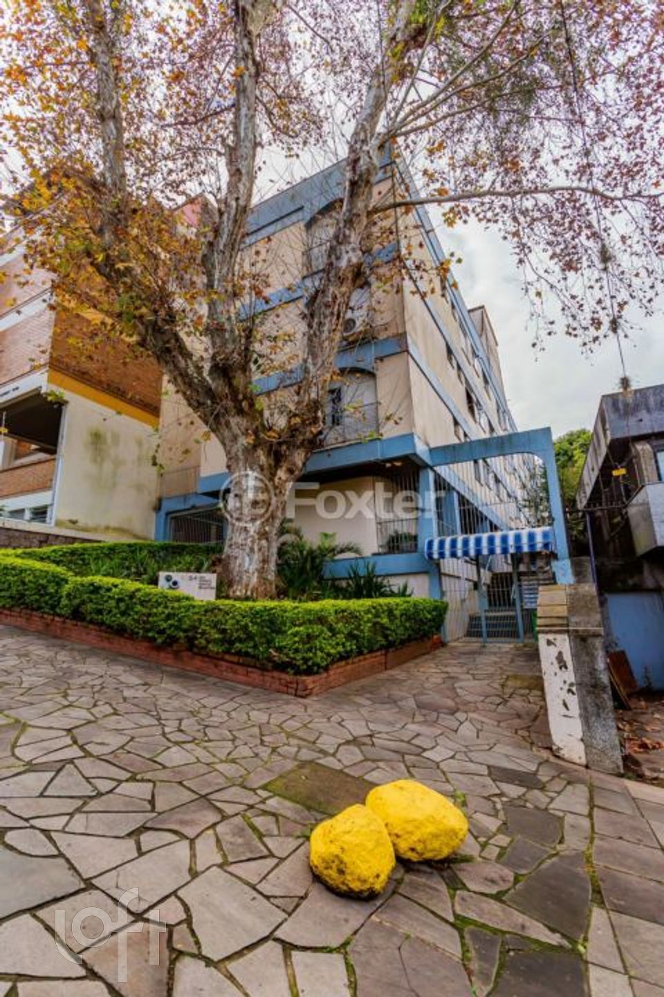 Imagem da propriedade 44