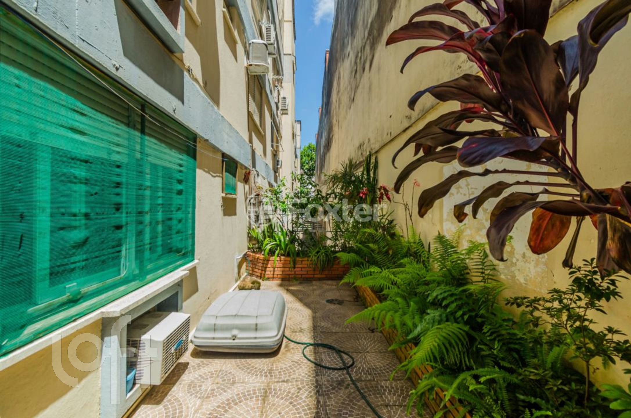 Imagem da propriedade 37