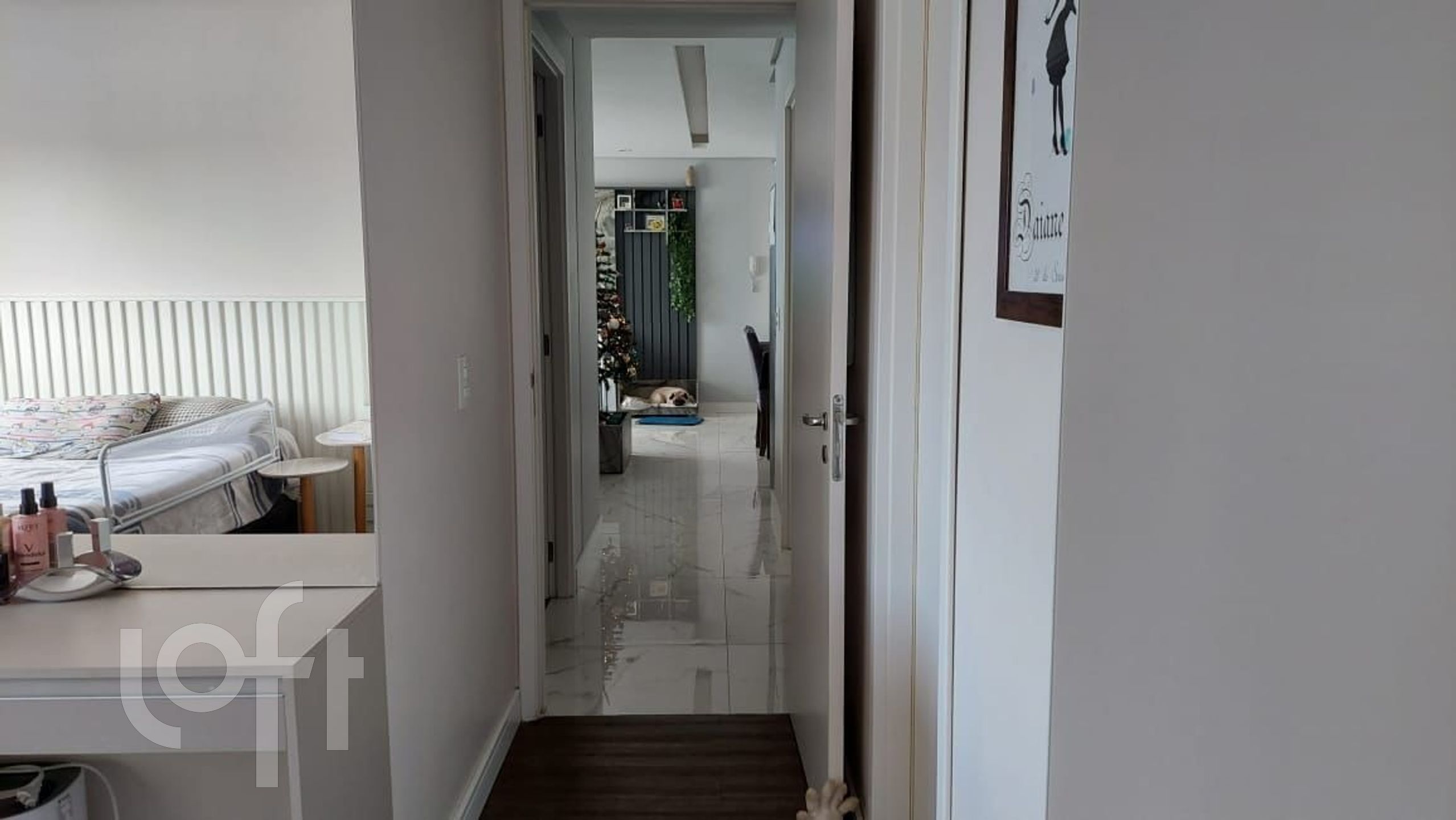 Imagem da propriedade 14