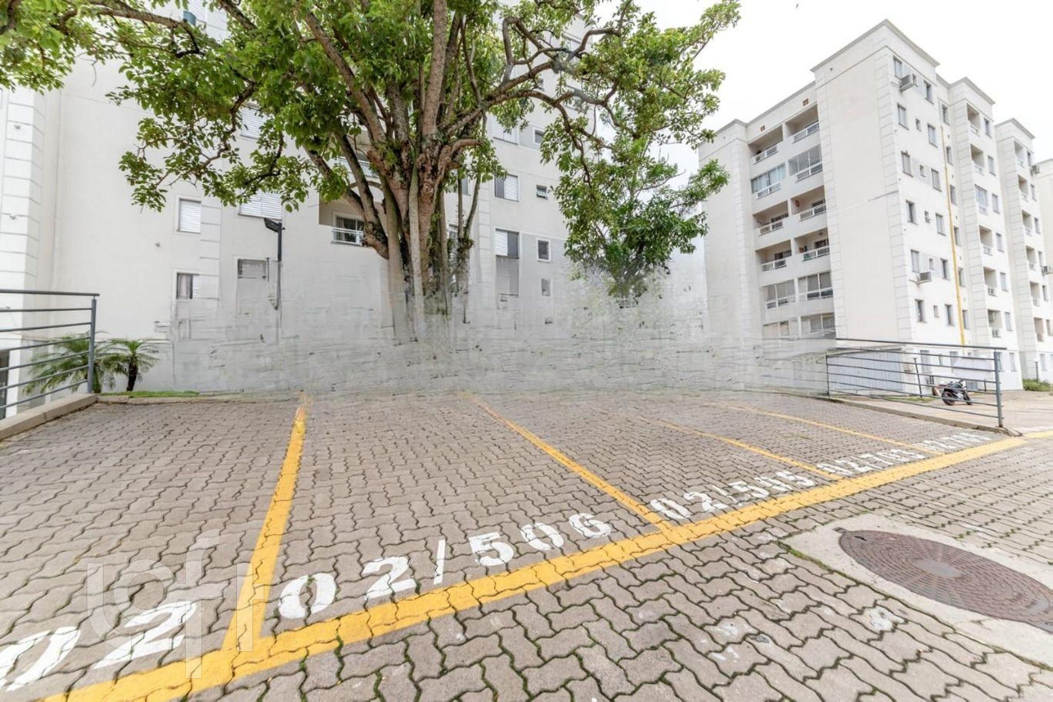 Imagem da propriedade 34