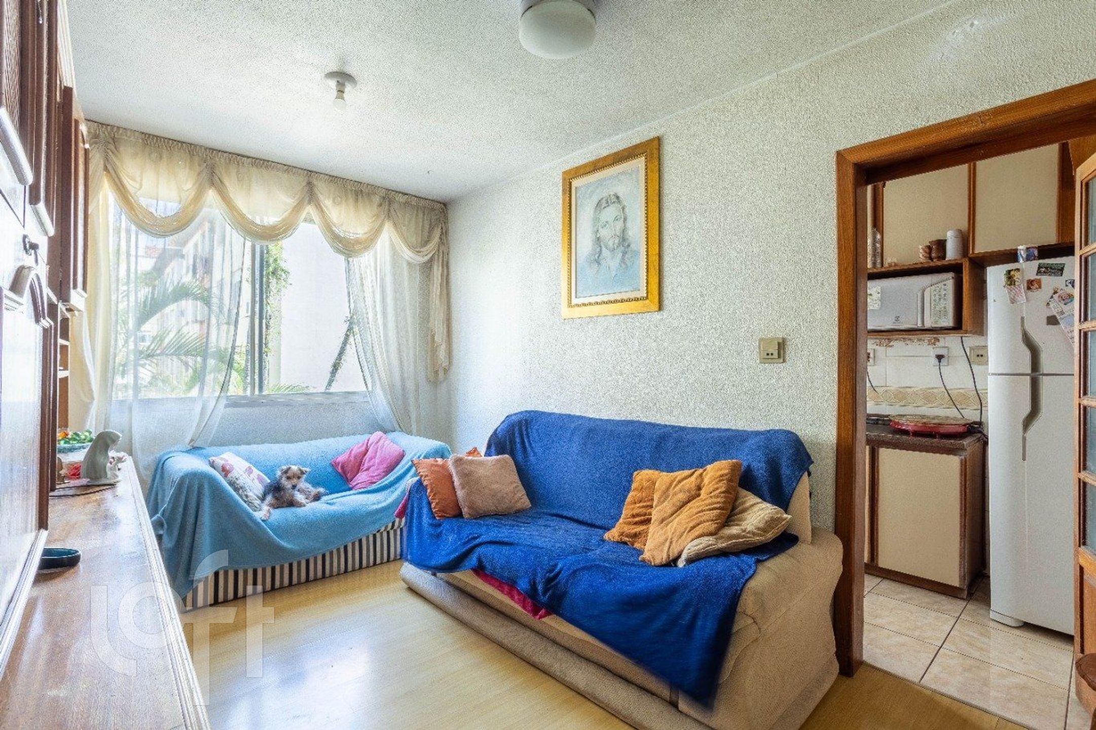 Imagem da propriedade 3