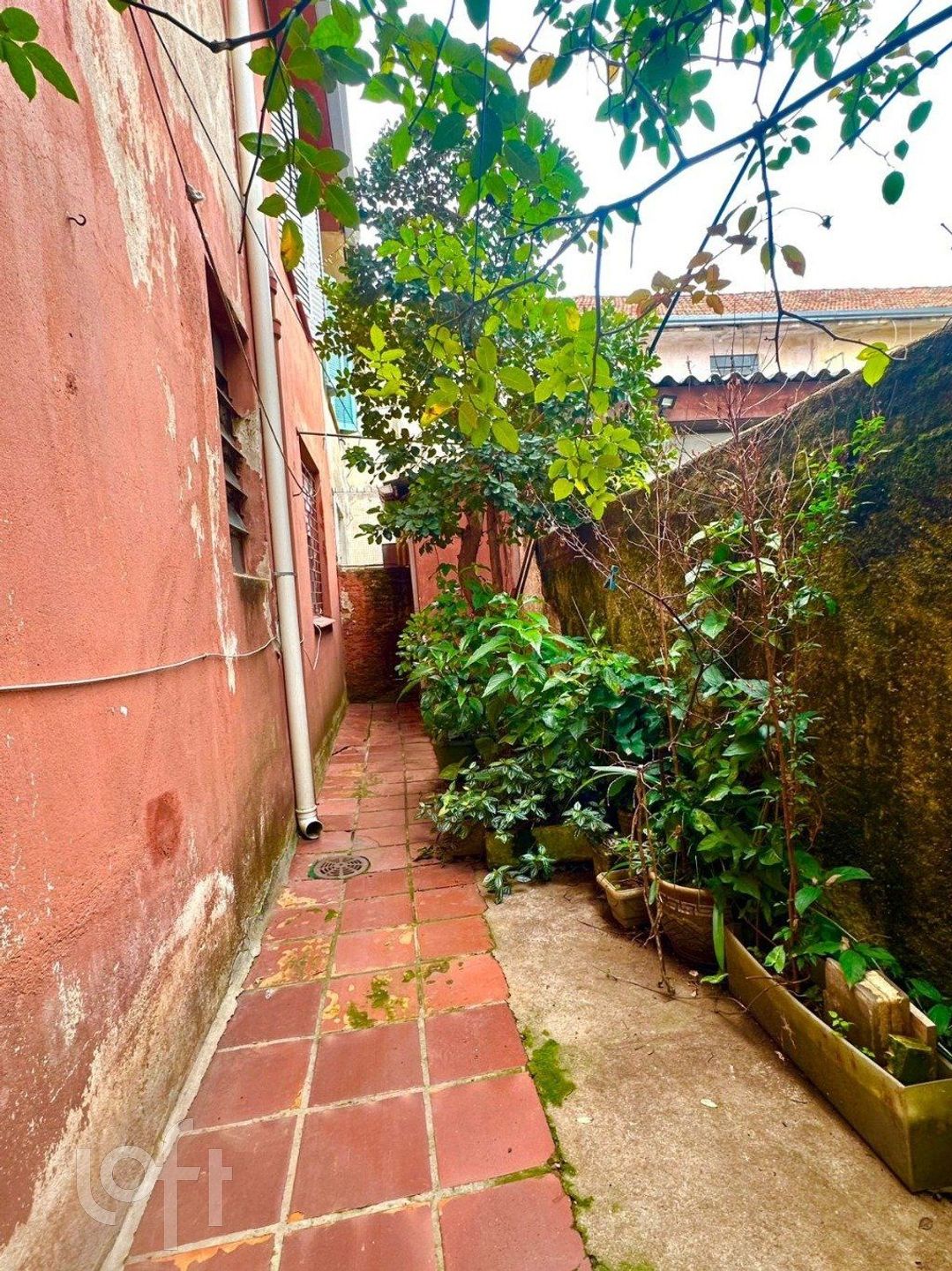 Imagem da propriedade 18