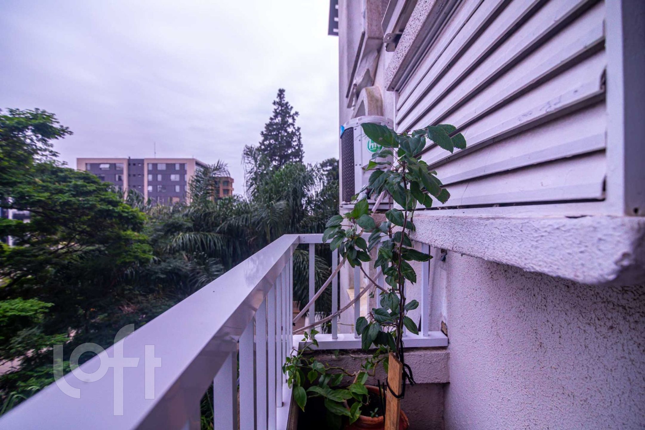 Imagem da propriedade 18