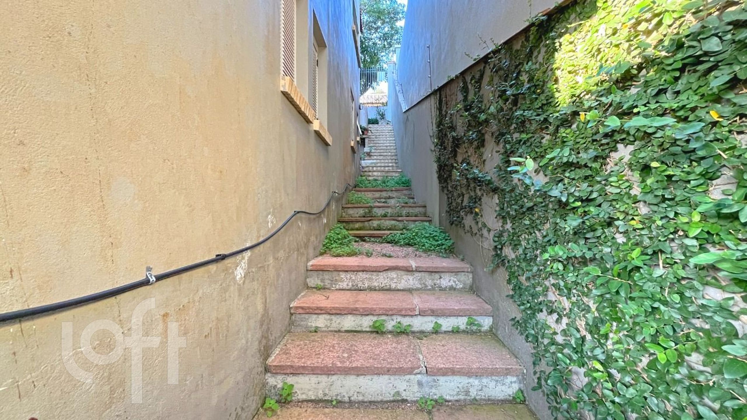 Imagem da propriedade 72