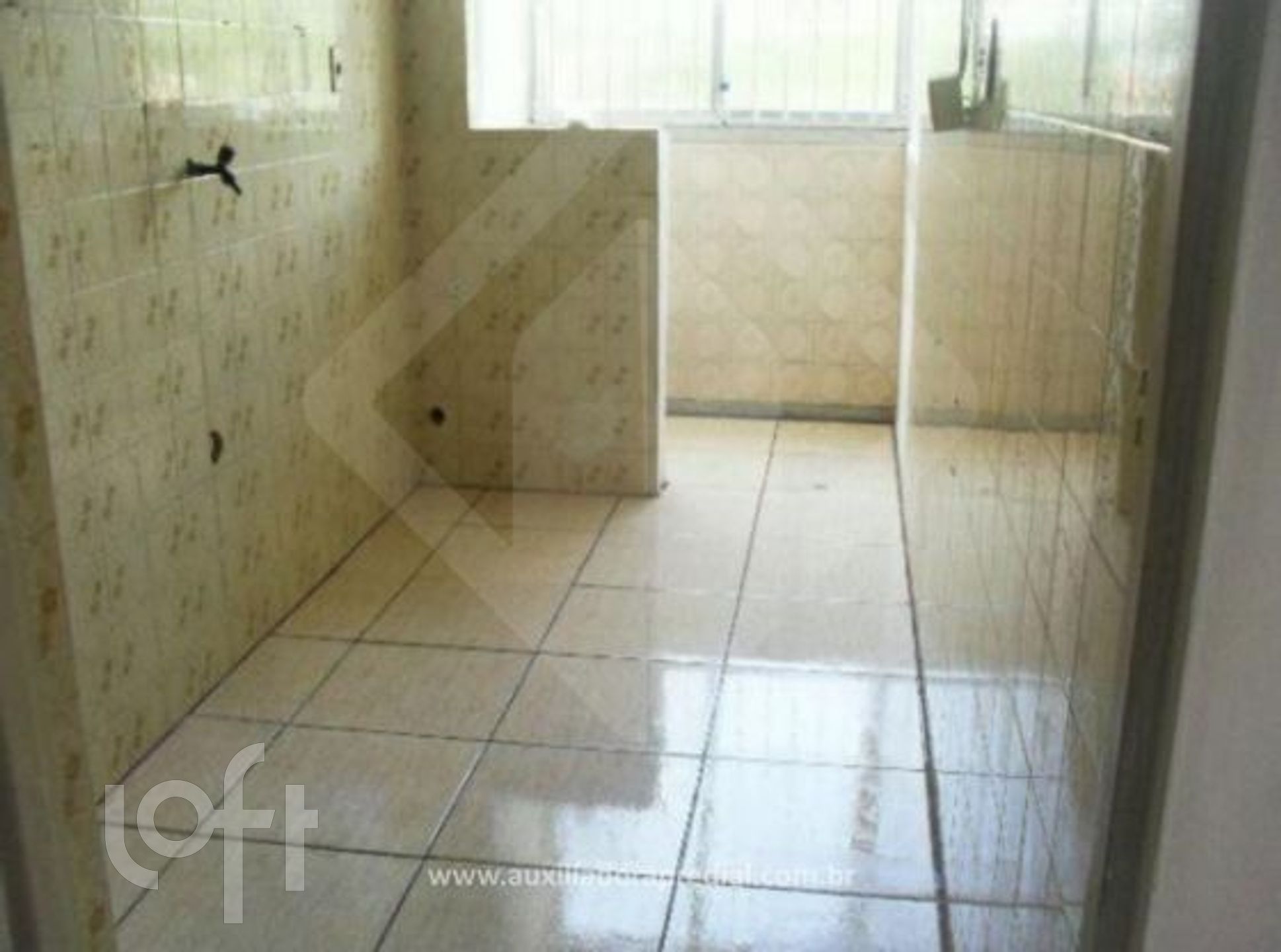 Imagem da propriedade 6