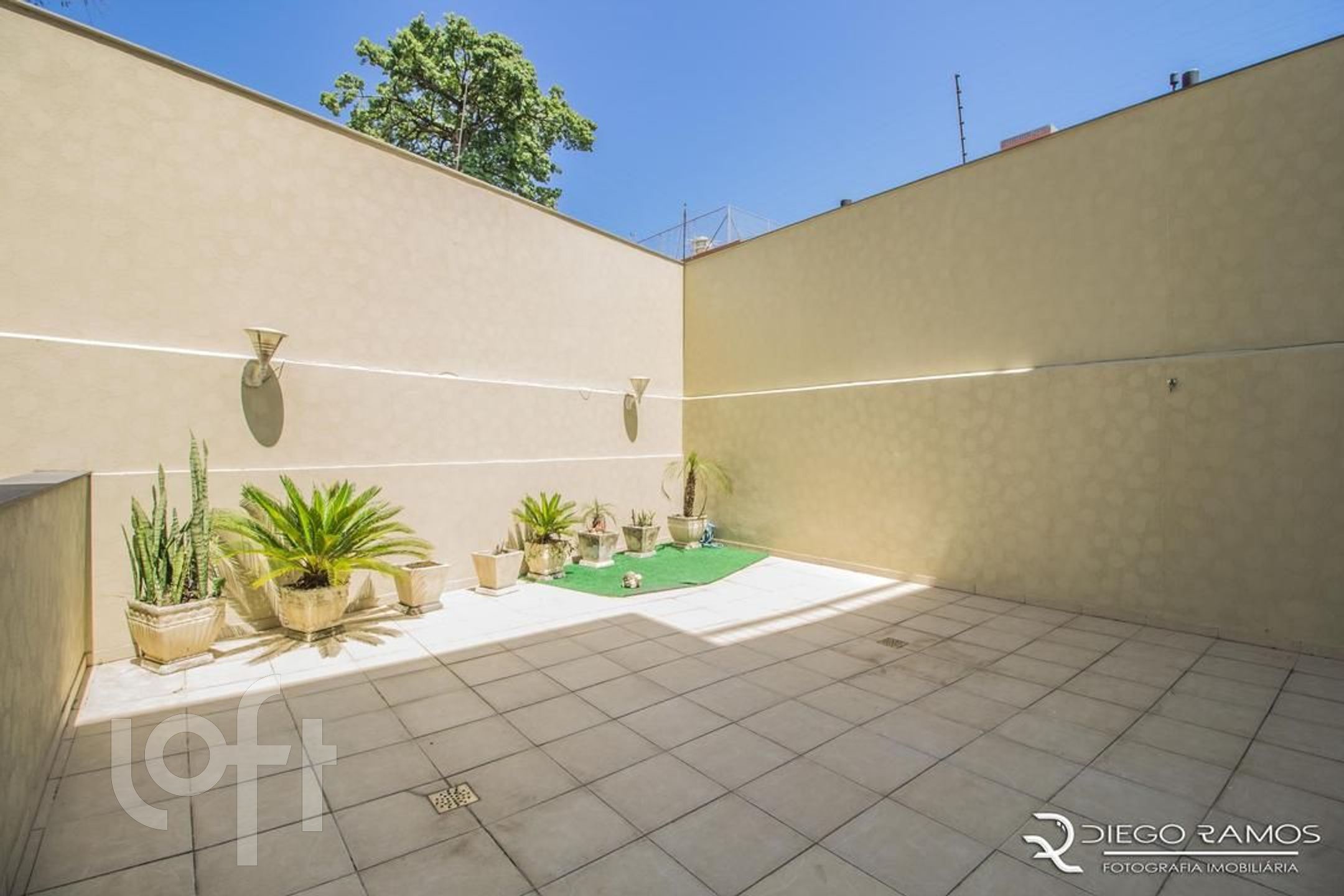 Imagem da propriedade 9