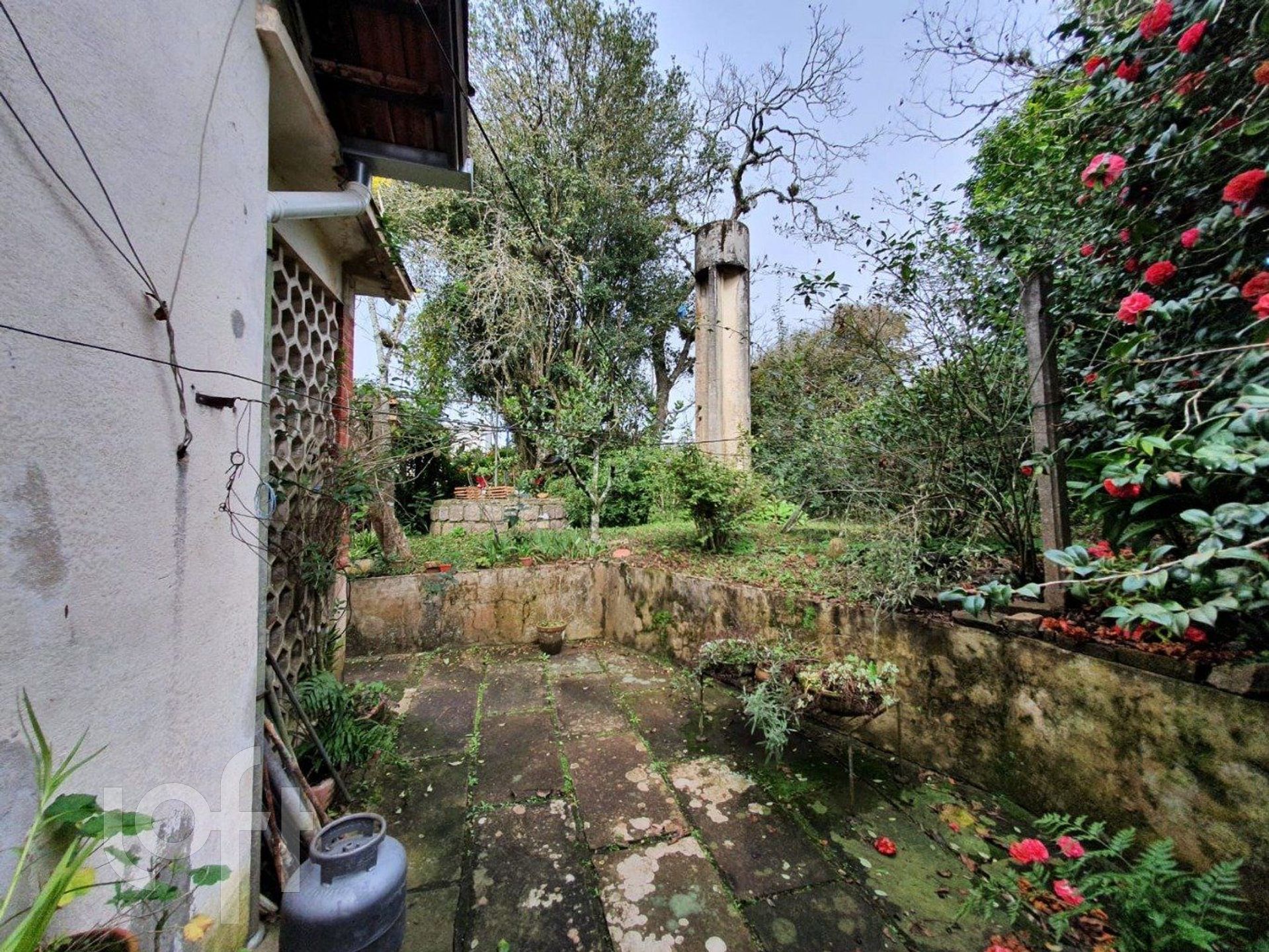 Imagem da propriedade 16