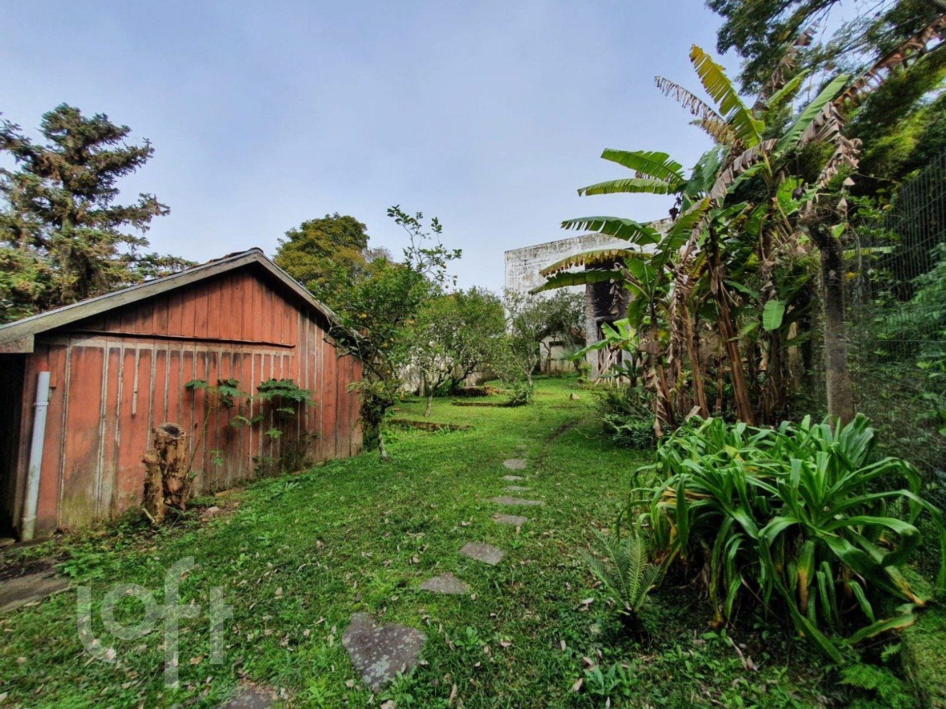 Imagem da propriedade 10