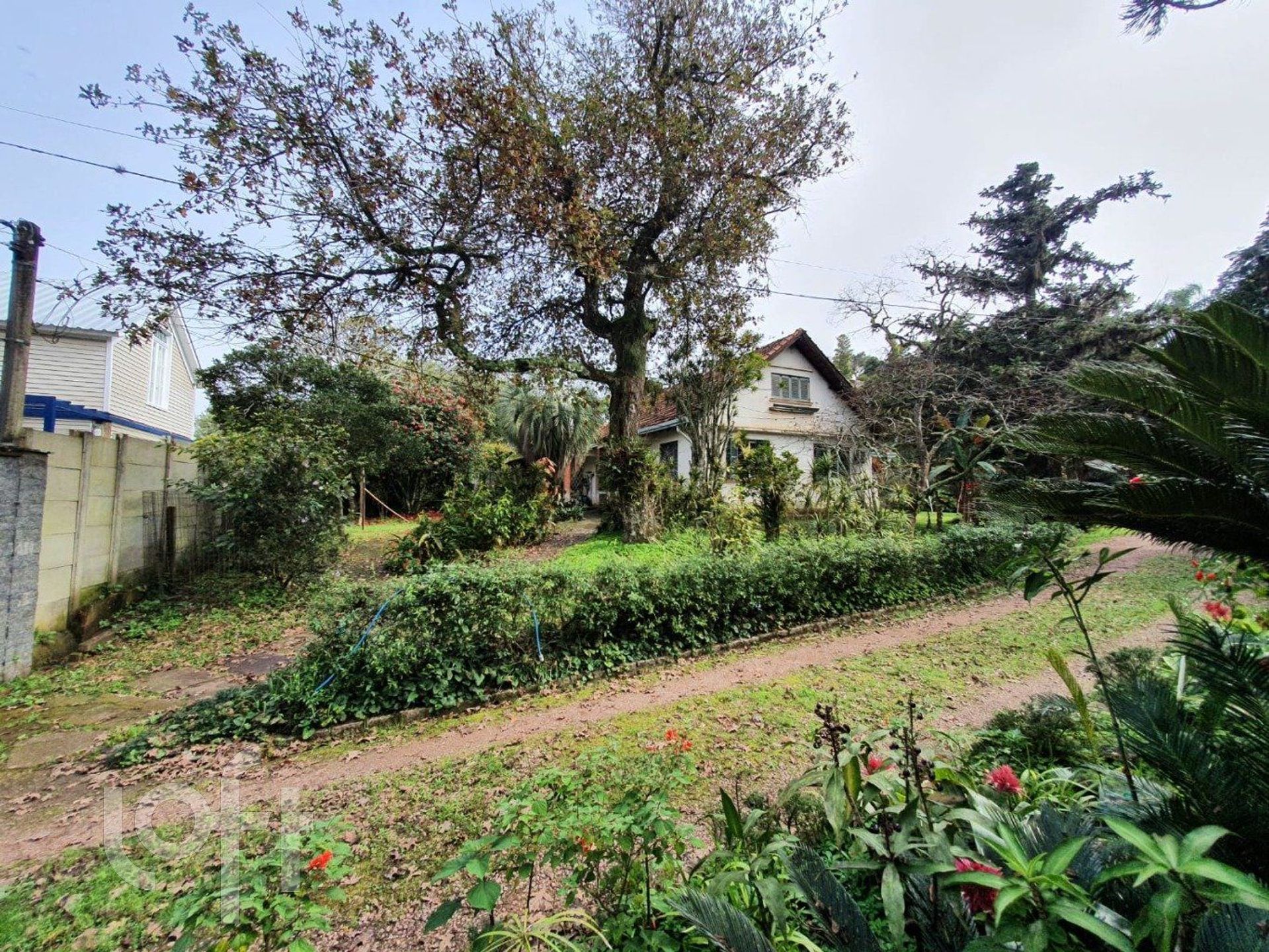 Imagem da propriedade 2