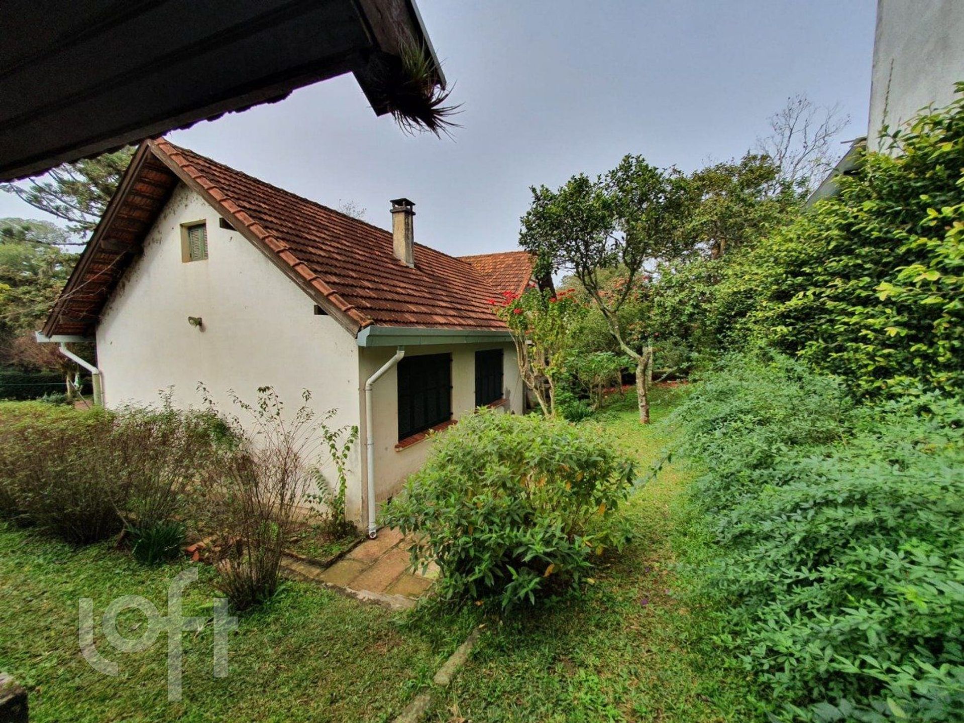 Imagem da propriedade 4