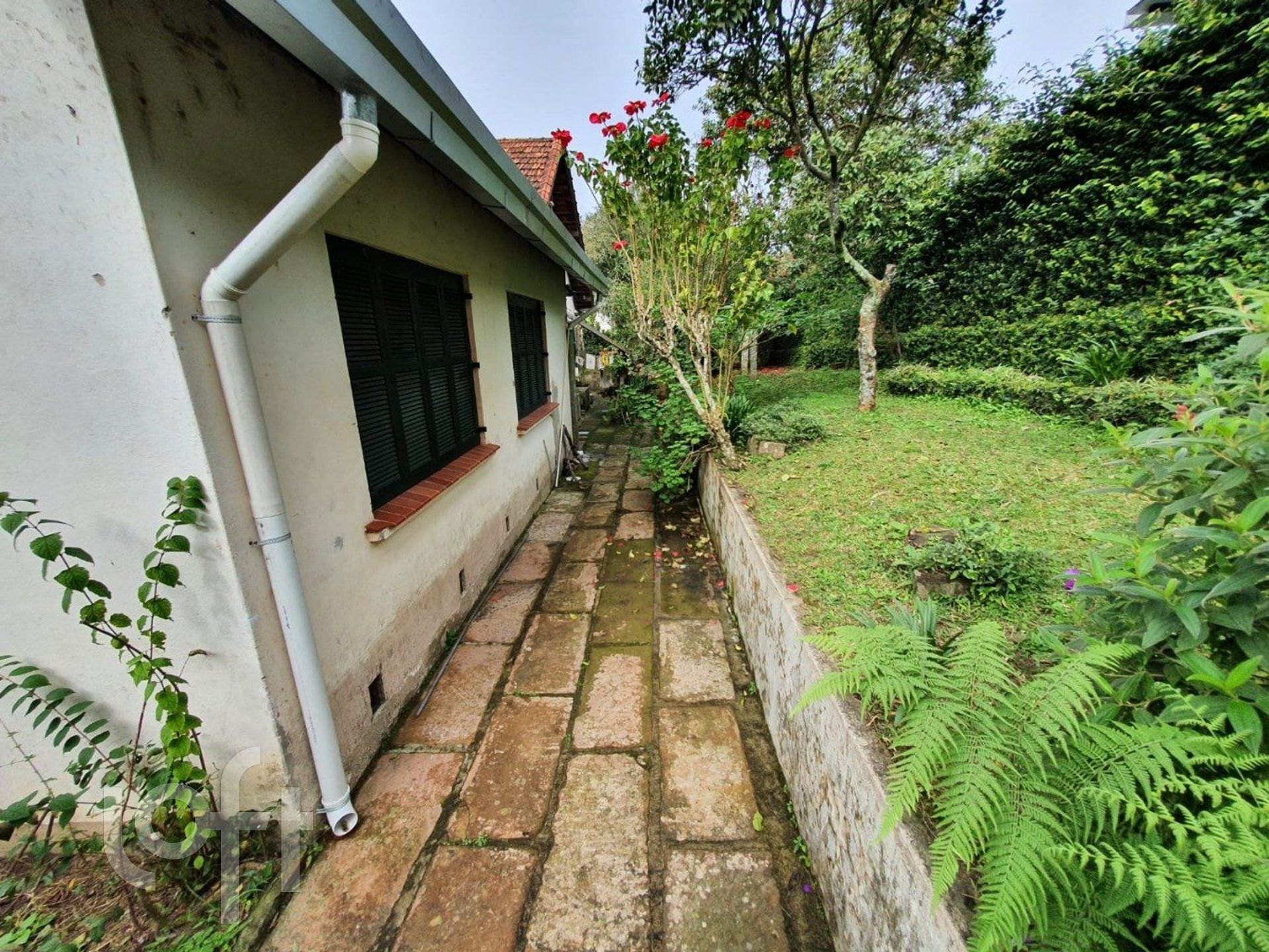 Imagem da propriedade 12