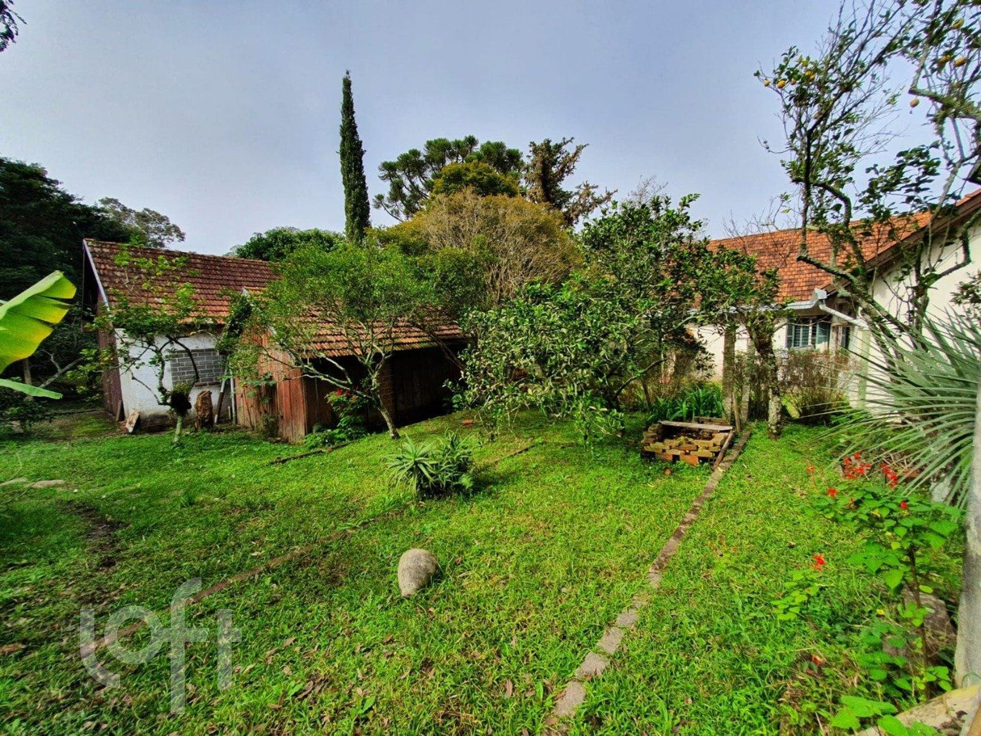 Imagem da propriedade 9