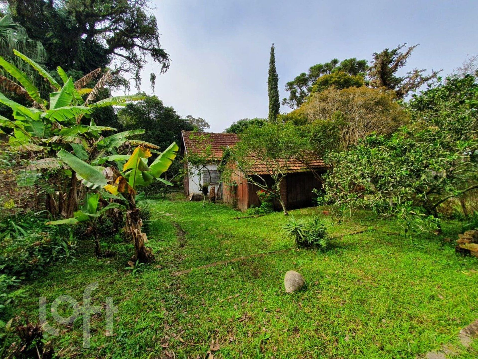 Imagem da propriedade 8