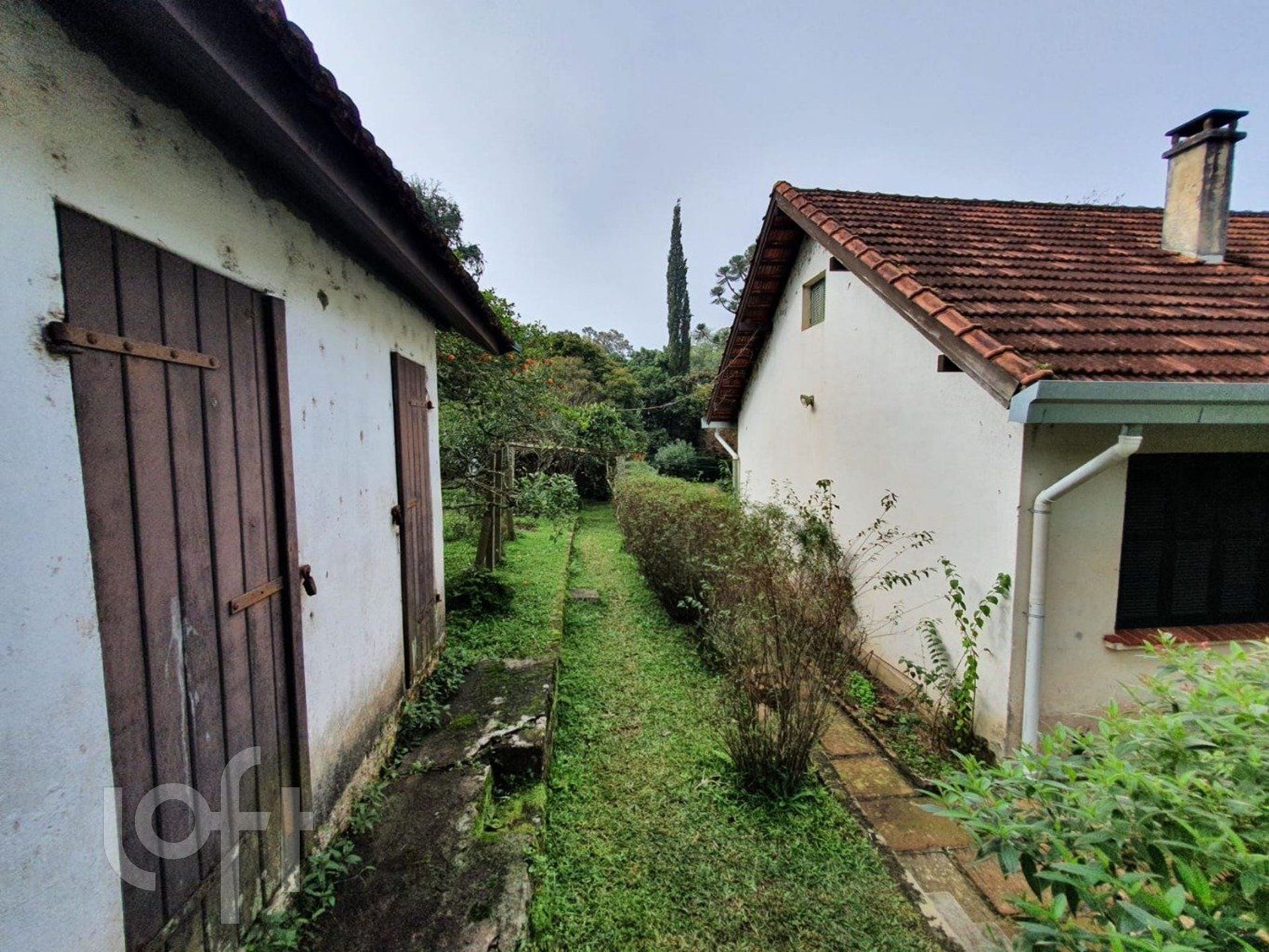 Imagem da propriedade 11