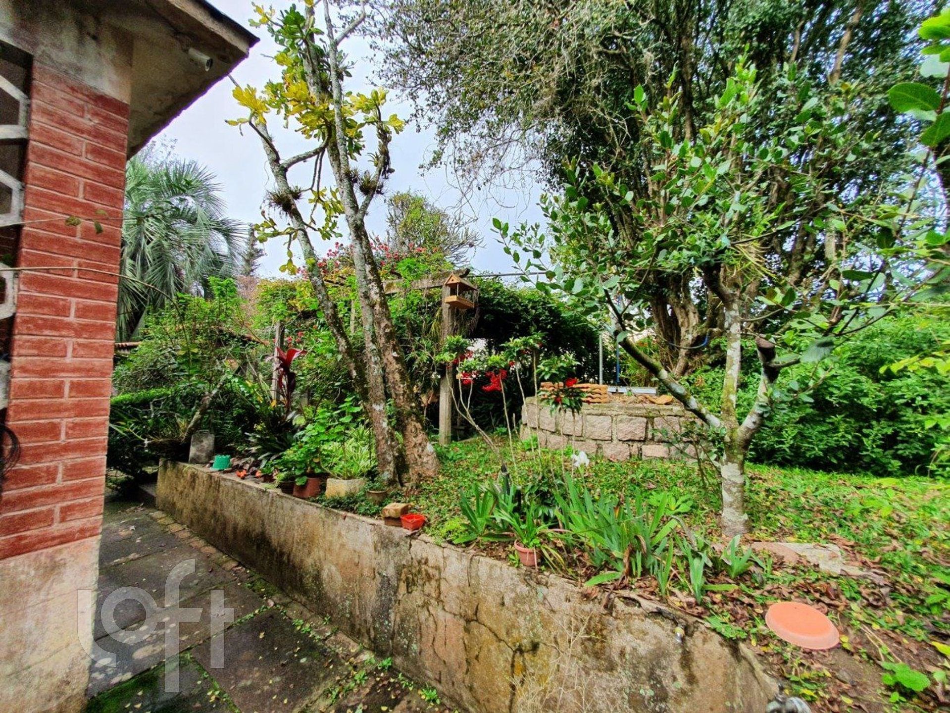 Imagem da propriedade 13