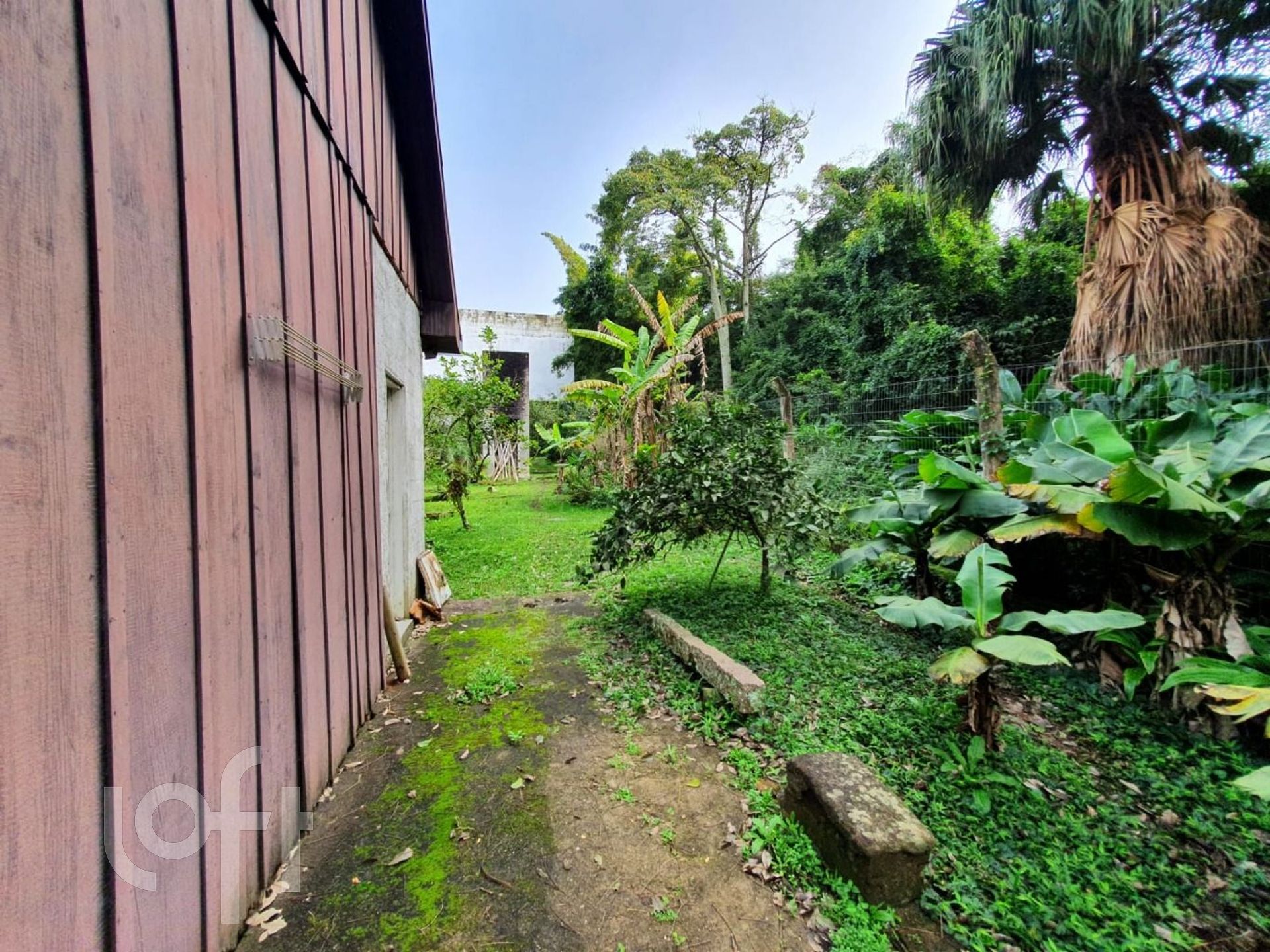 Imagem da propriedade 17