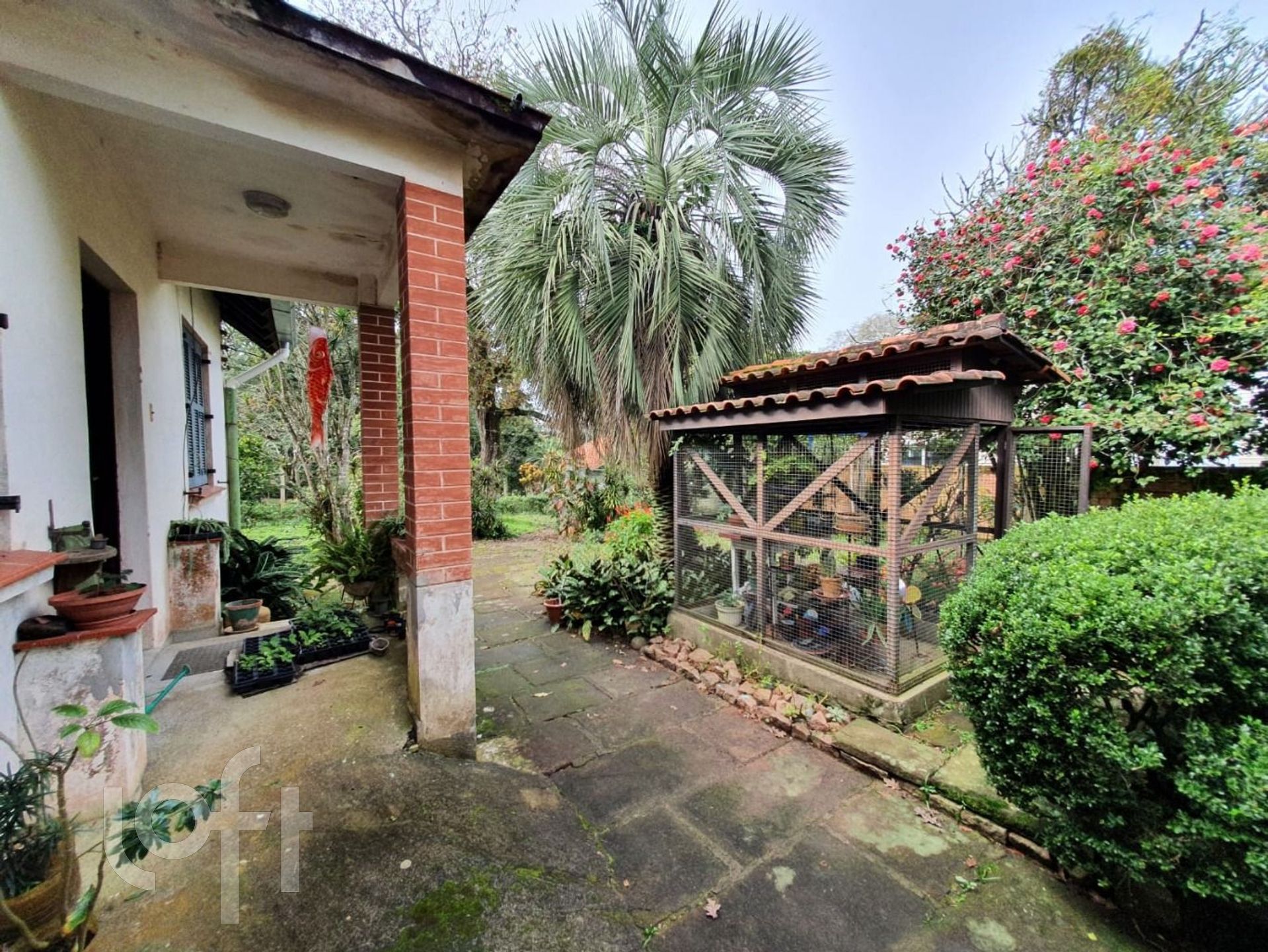 Imagem da propriedade 14