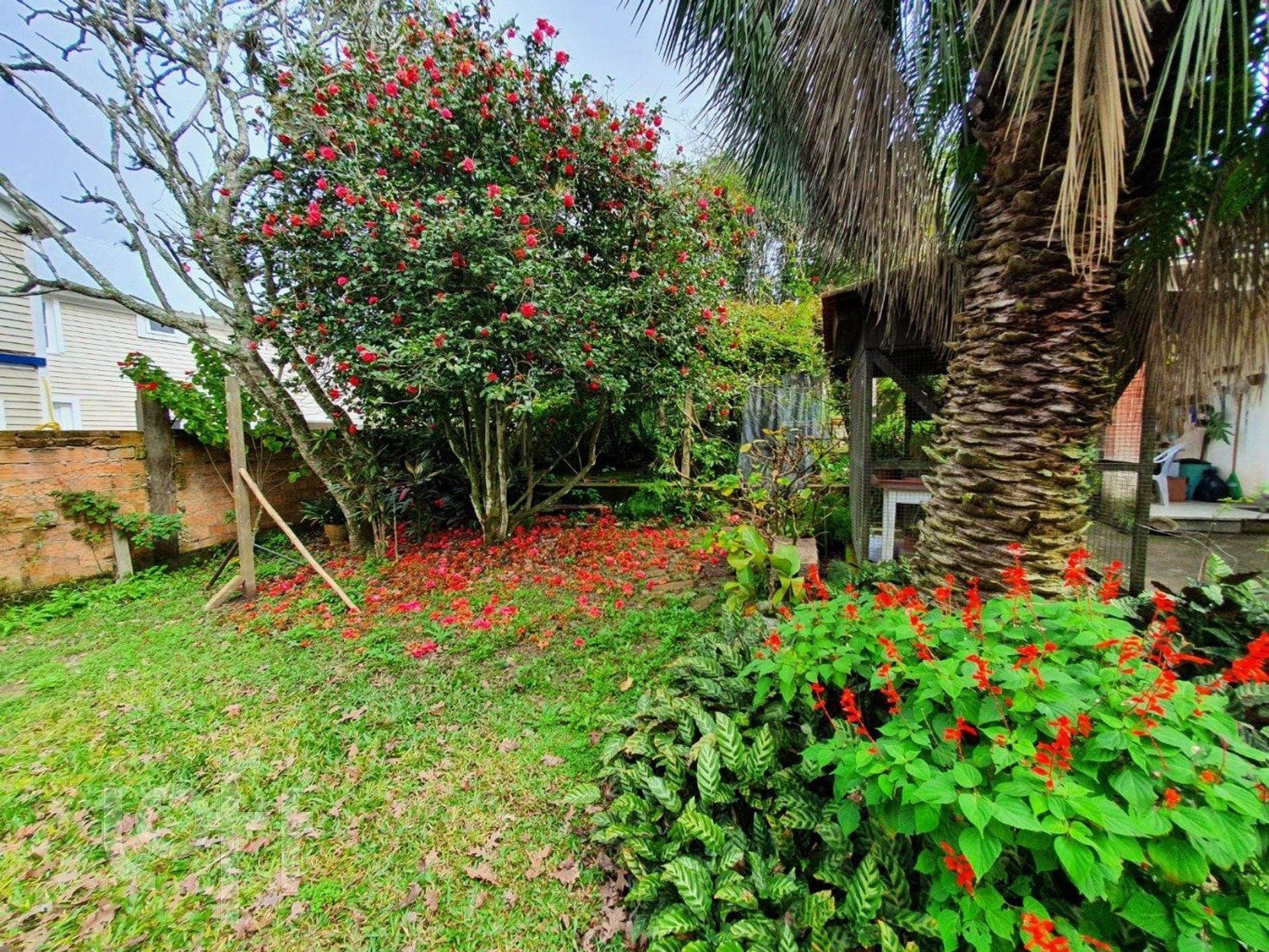 Imagem da propriedade 5