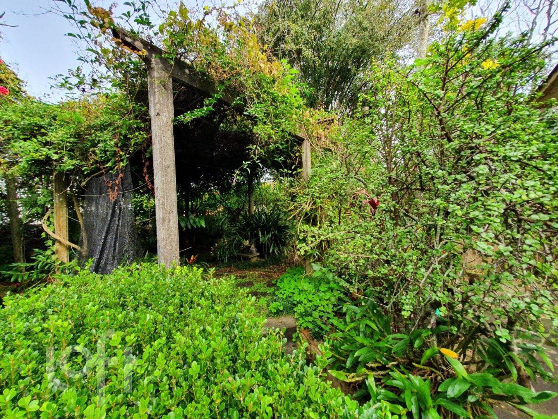 Imagem da propriedade 15