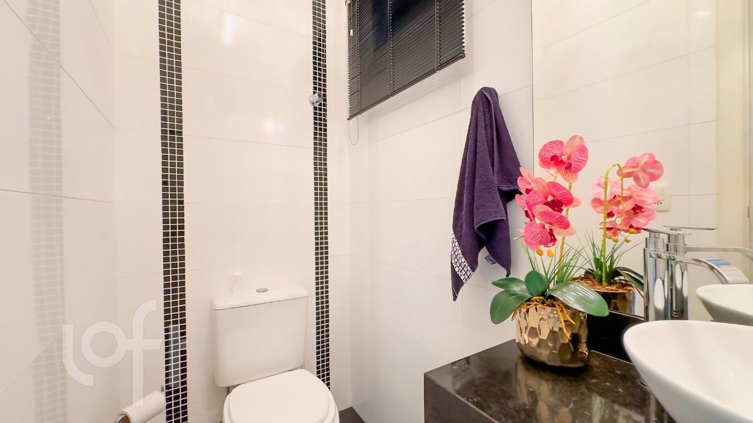 Imagem da propriedade 11