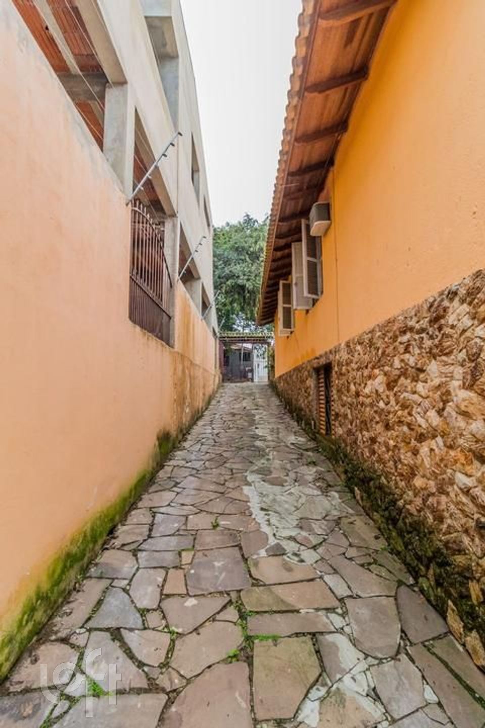 Imagem da propriedade 33