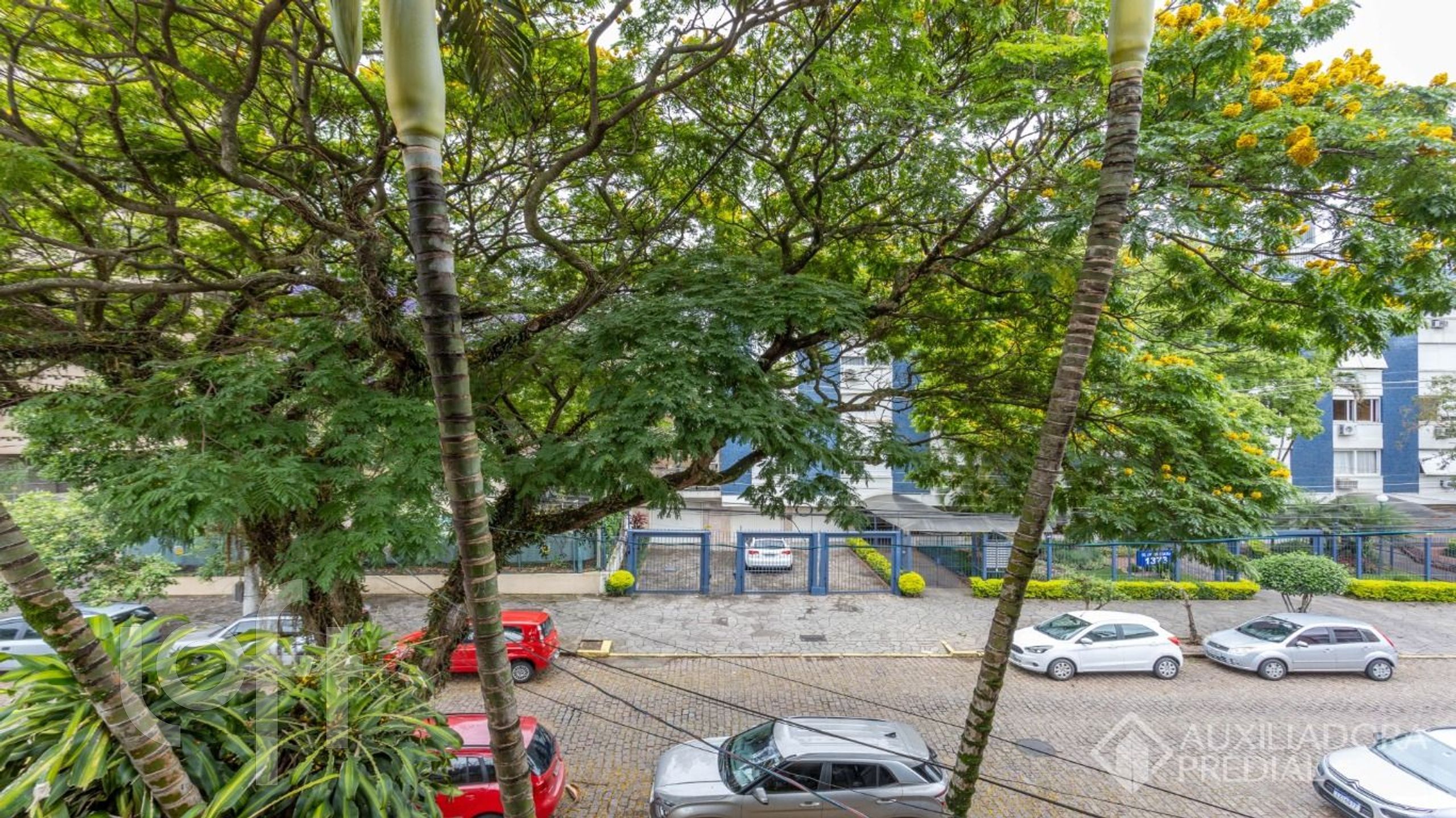 Imagem da propriedade 4