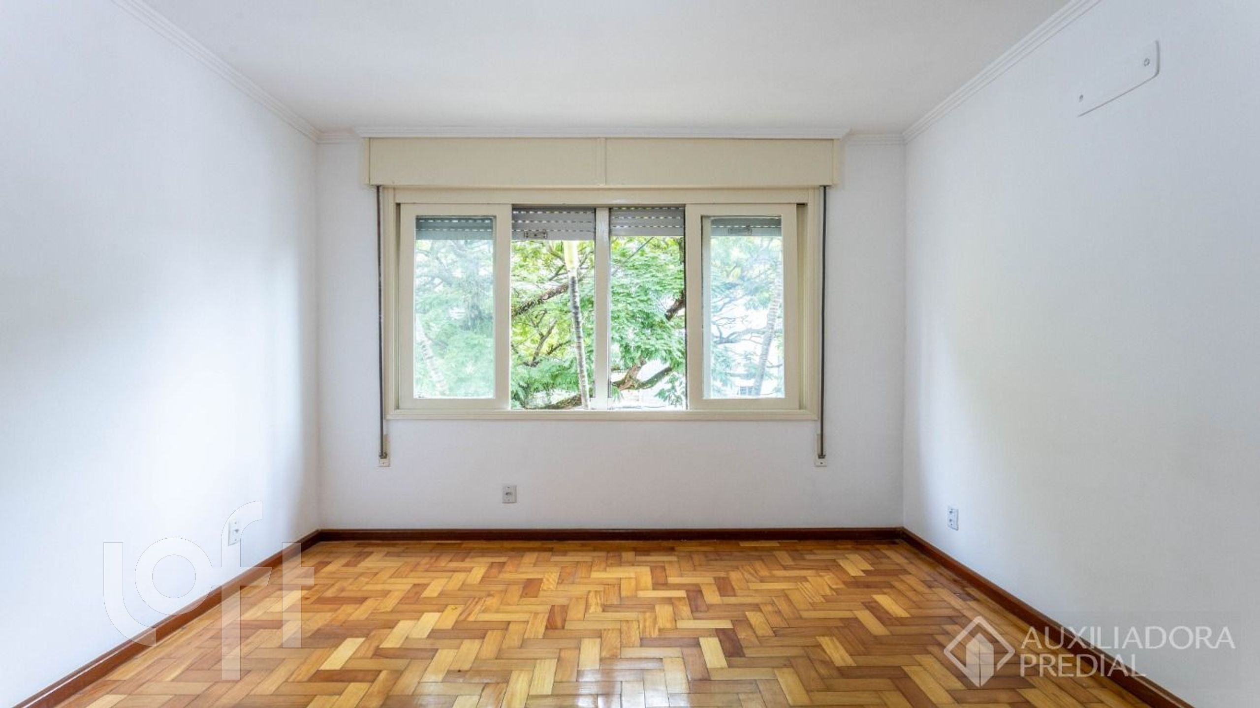 Imagem da propriedade 3