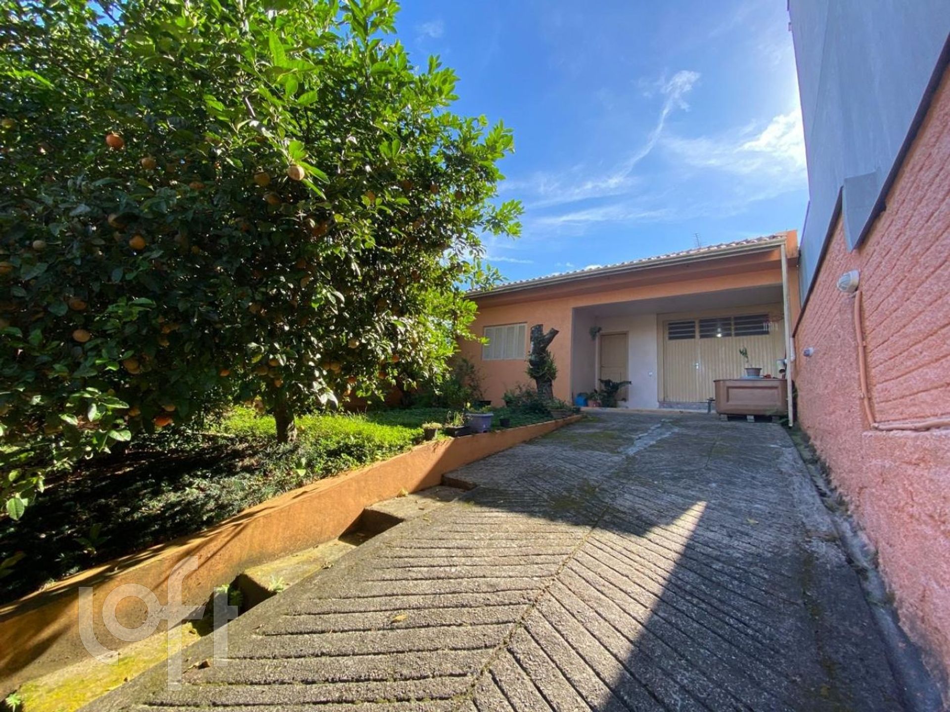 Imagem da propriedade 22