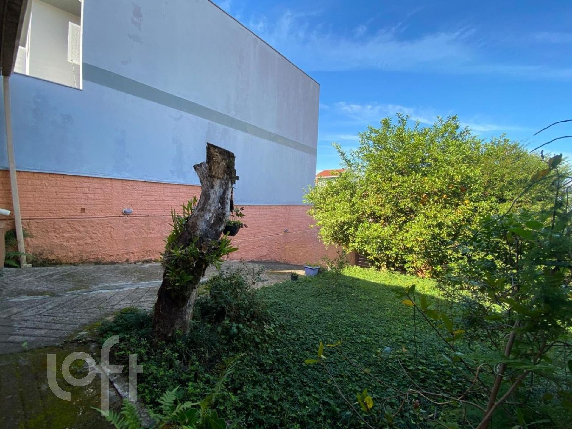 Imagem da propriedade 19