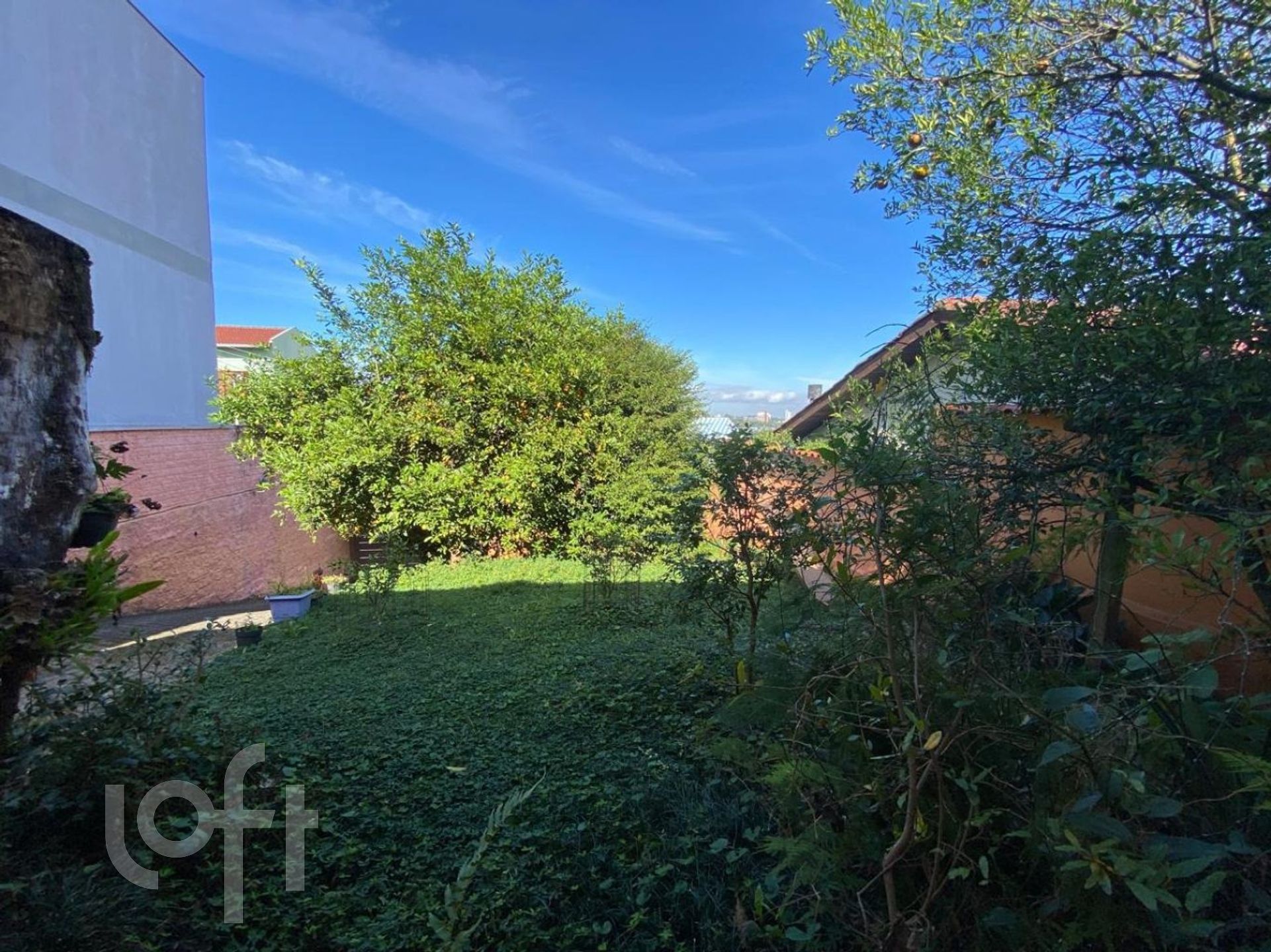 Imagem da propriedade 25