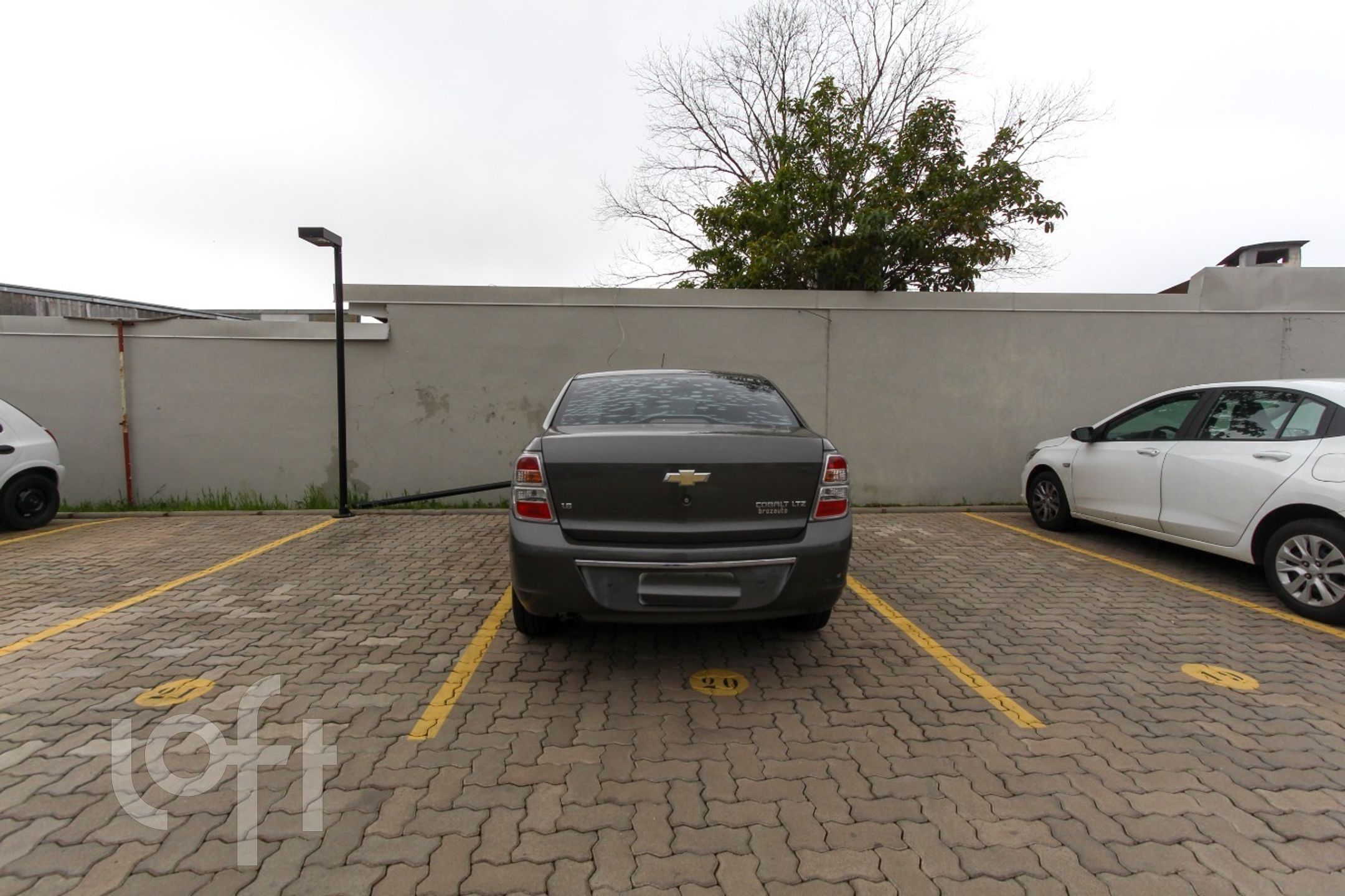 Imagem da propriedade 18