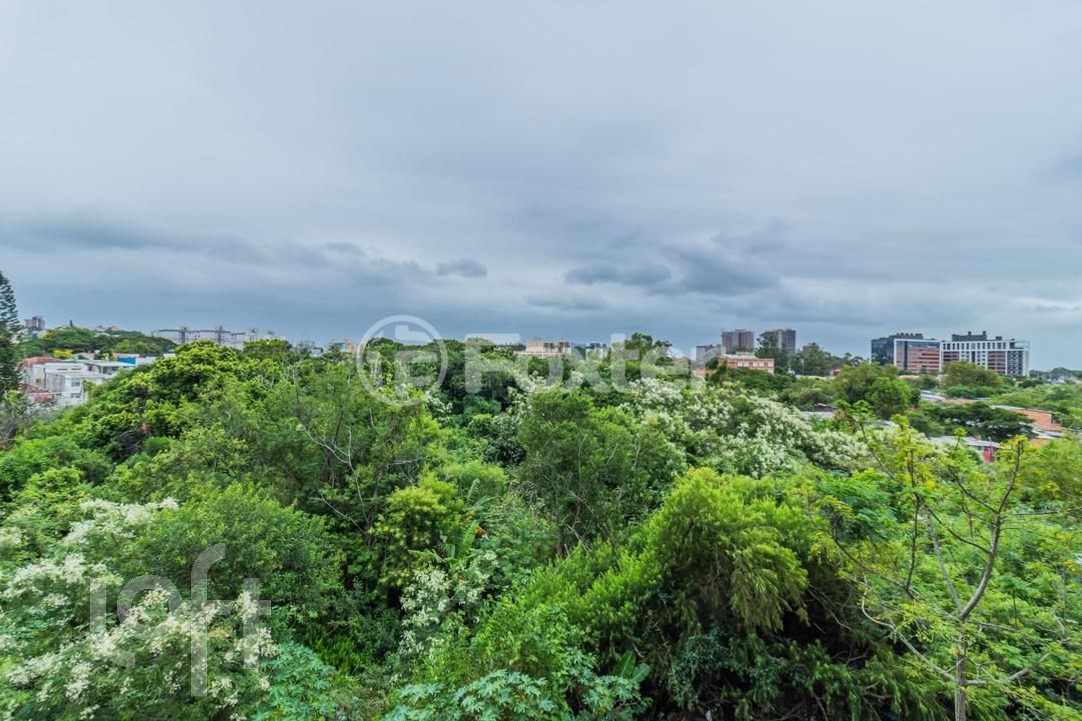 Imagem da propriedade 5