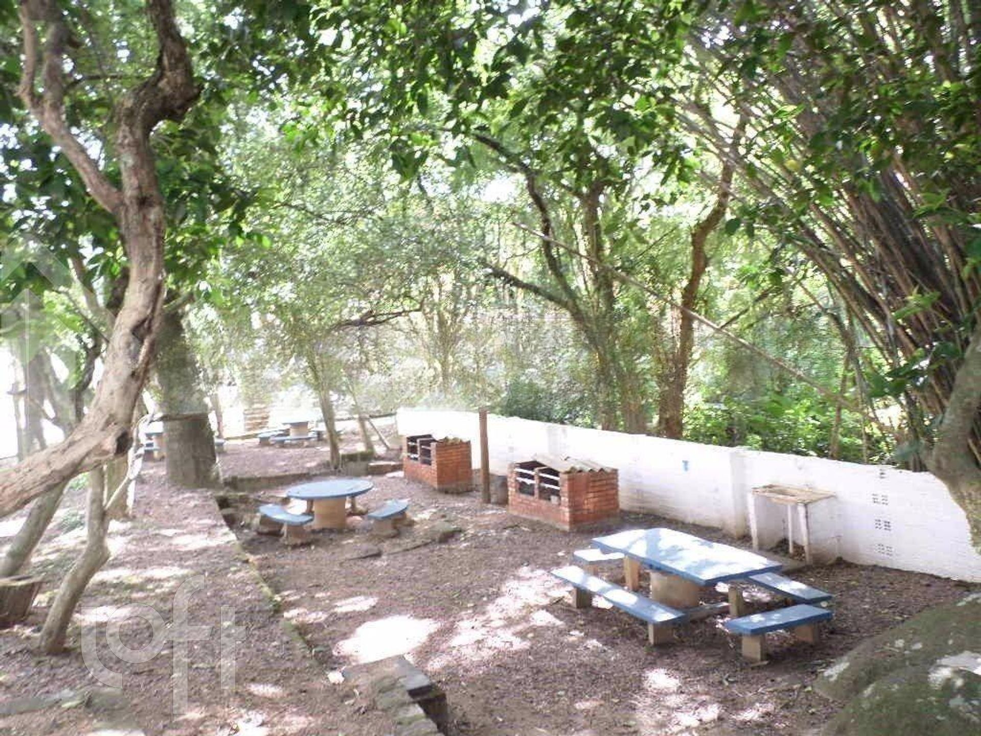 Imagem da propriedade 16