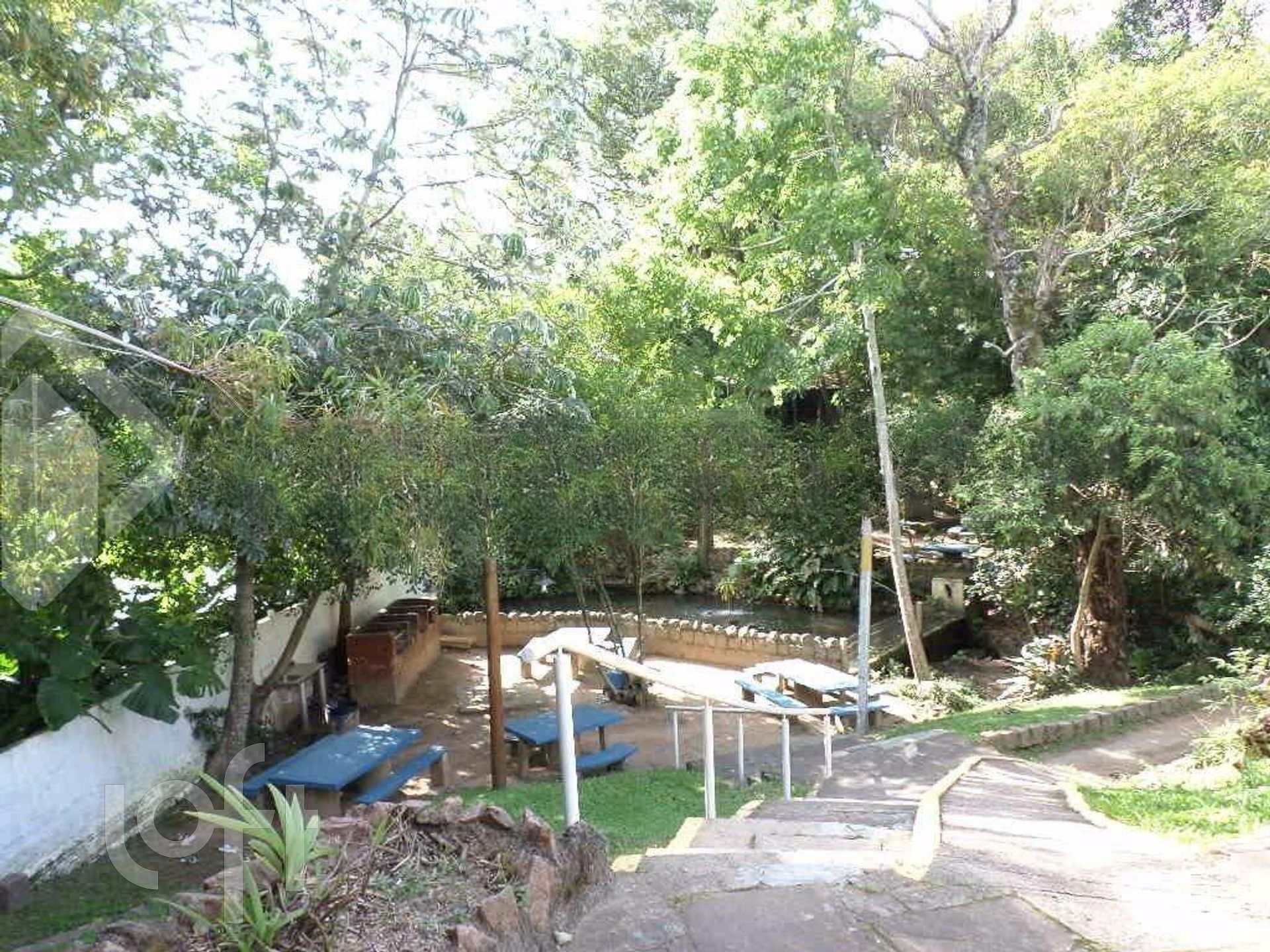 Imagem da propriedade 18