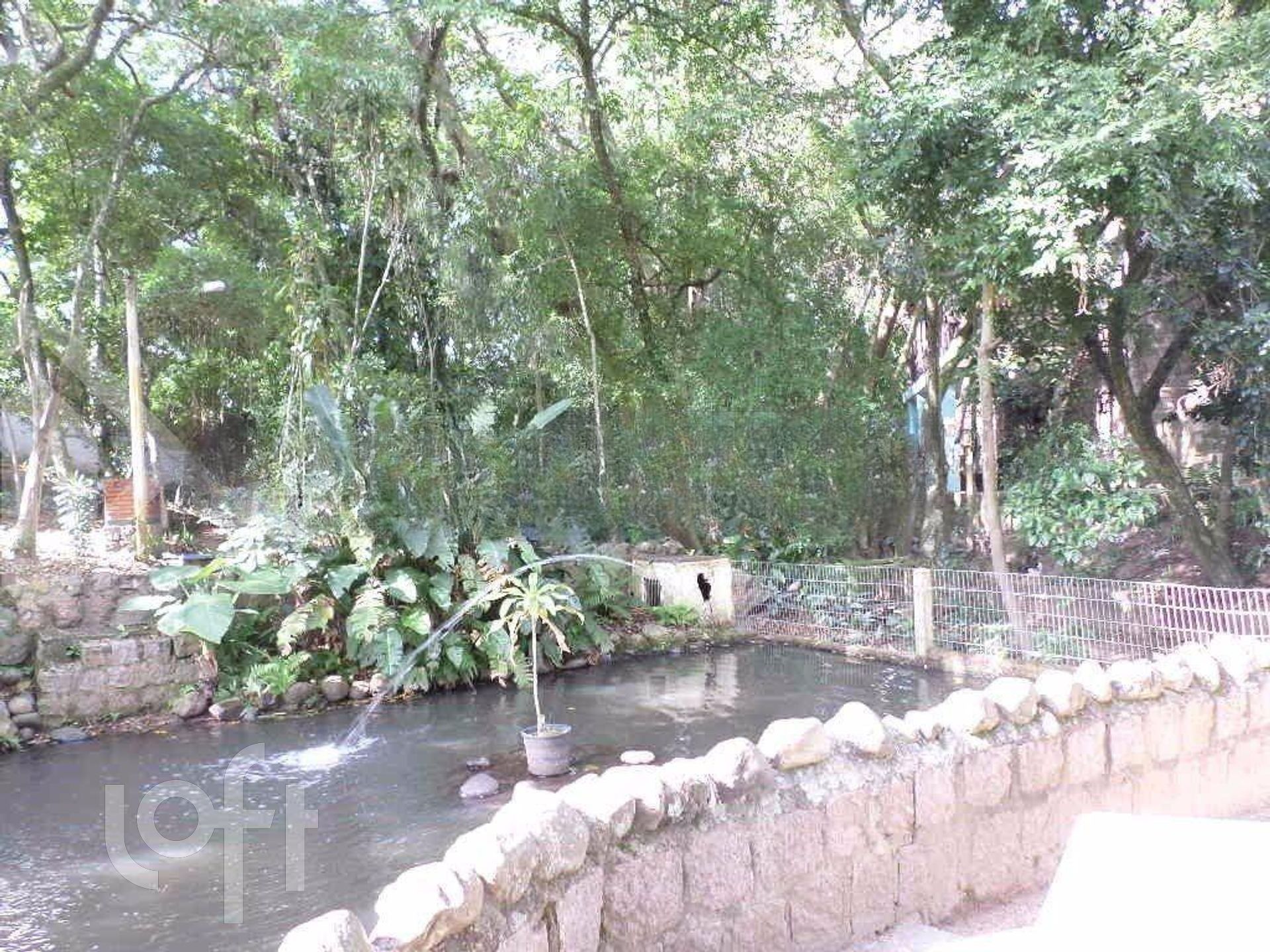 Imagem da propriedade 19