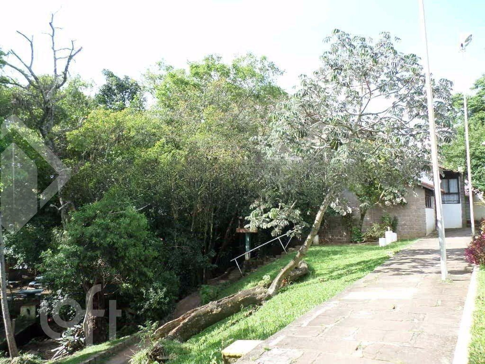 Imagem da propriedade 17